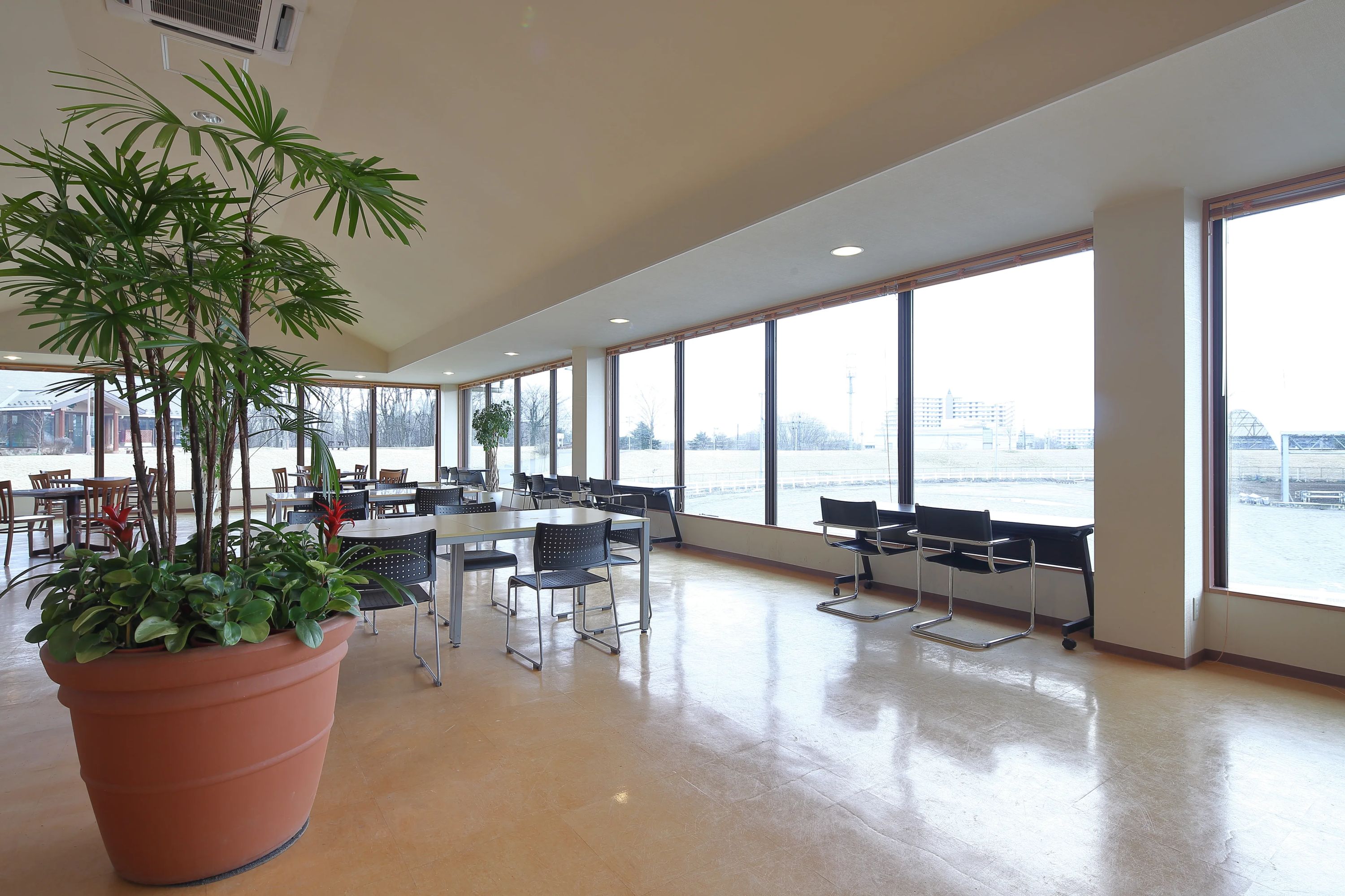 乗馬クラブCRANE(クレイン) 仙台泉パークタウンのサムネイル画像 5