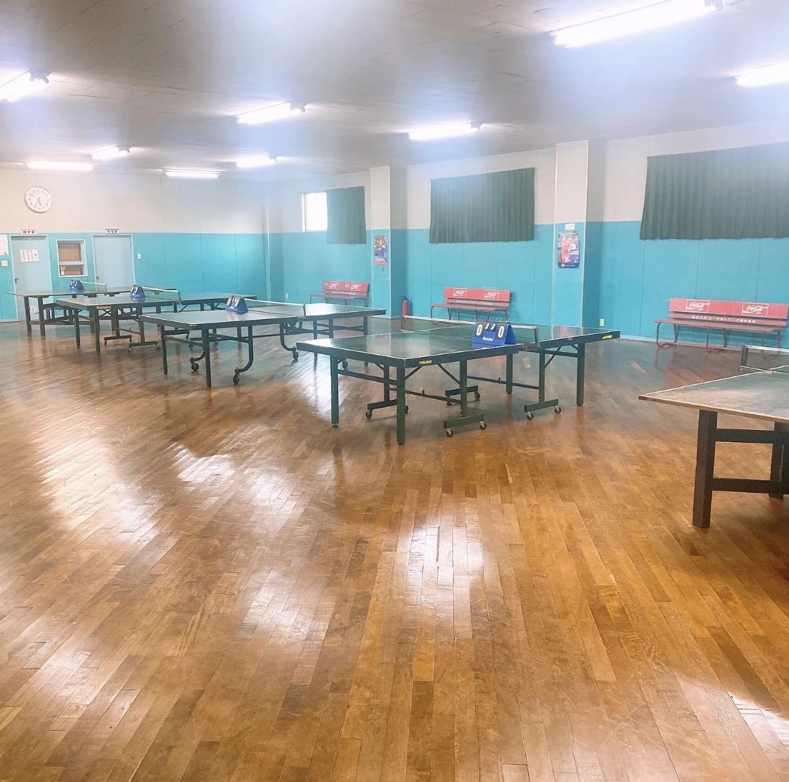東北卓球C&C 桜ケ丘教室のサムネイル画像 2