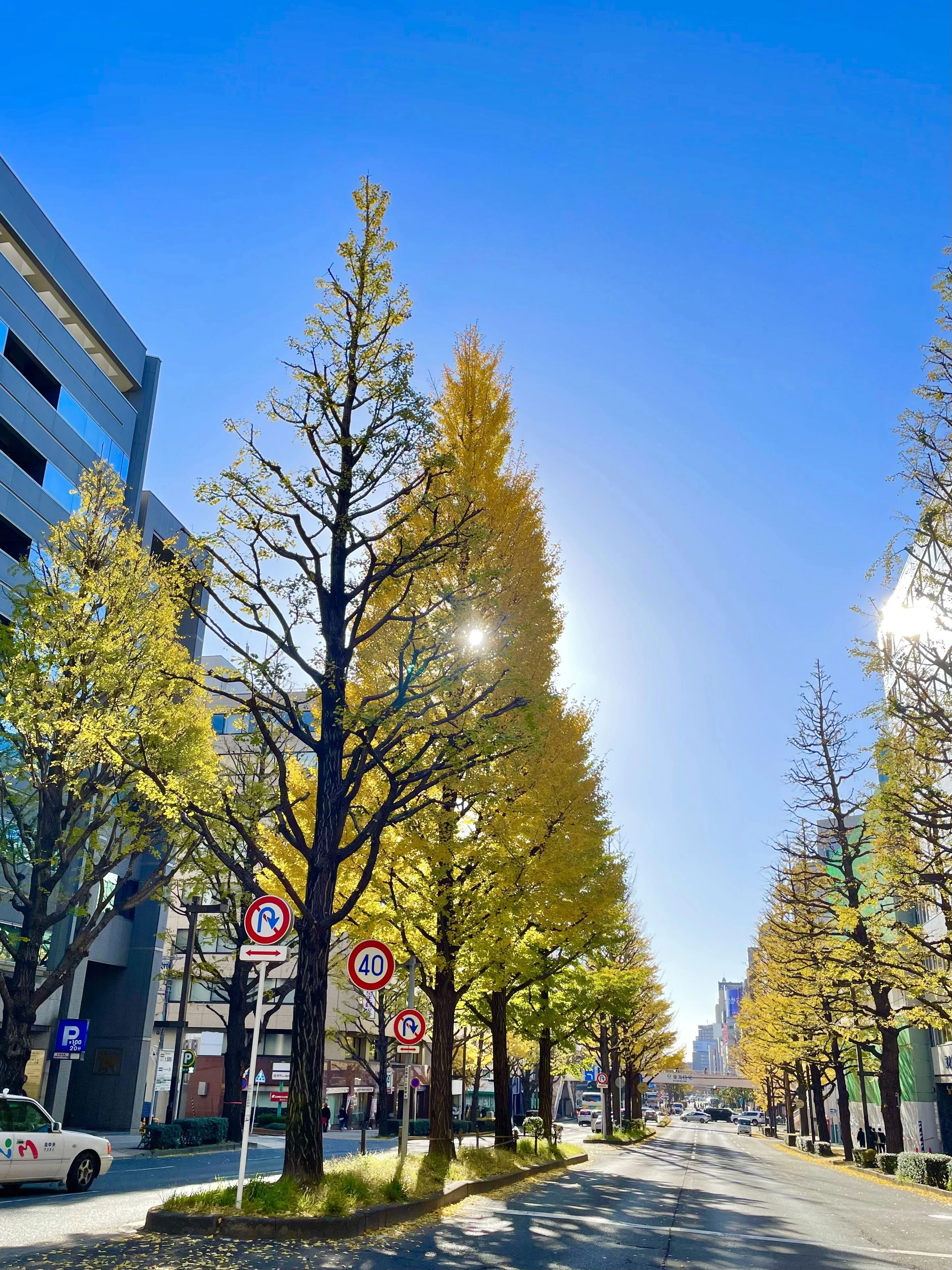 心身統一合気道 瑞心館道場のサムネイル画像 2