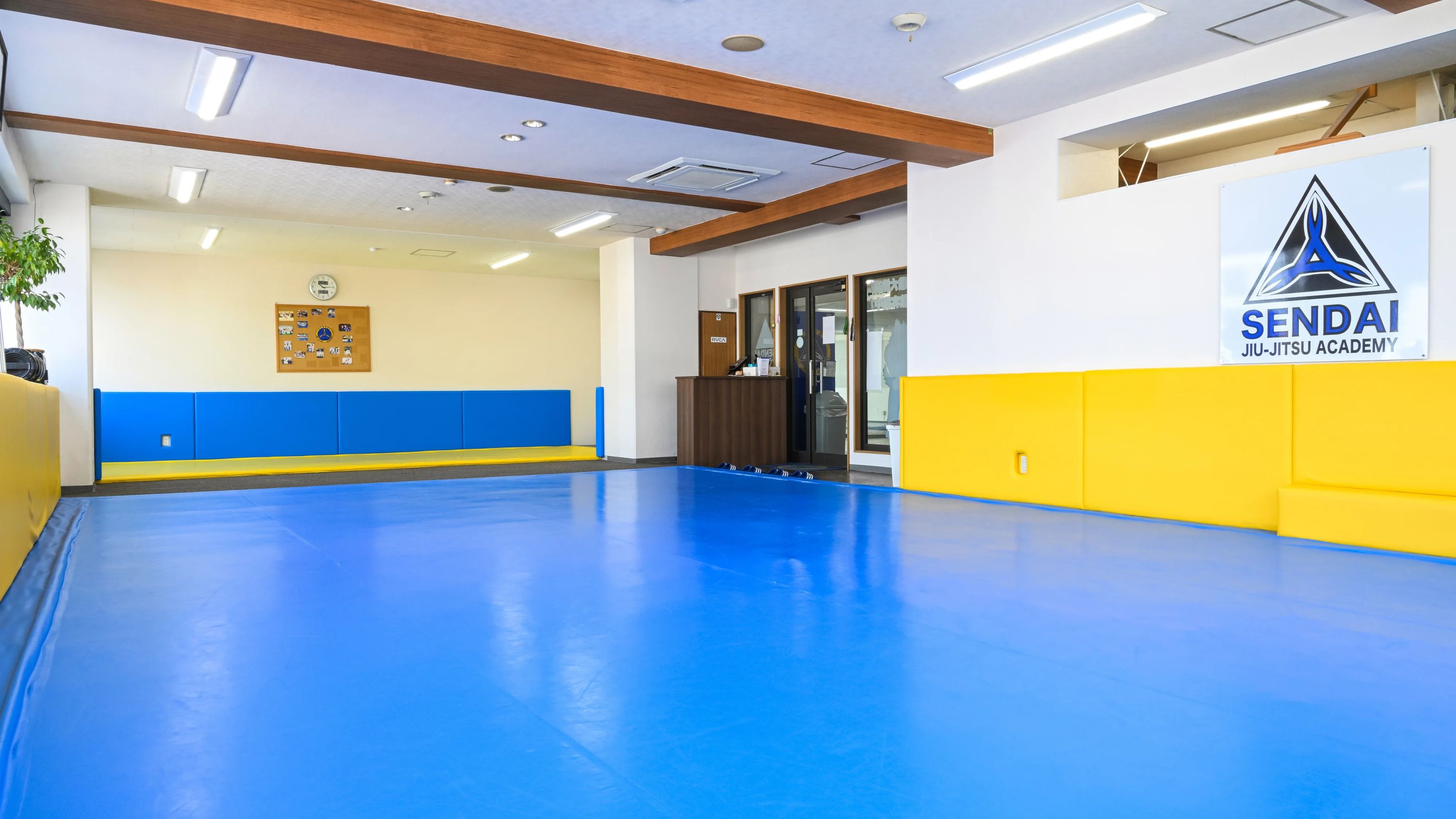 AXIS(アクシス) 柔術 仙台柔術アカデミ-のサムネイル画像 2