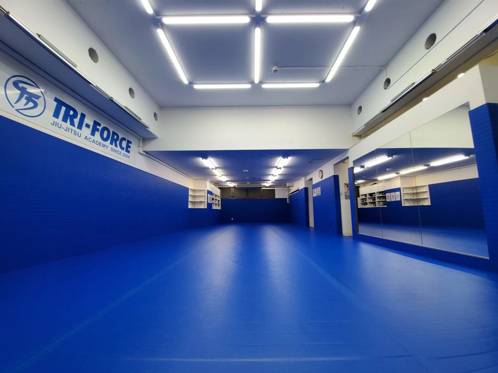 TRY-FORCE(トライフォース) ブラジリアン柔術 IKEBUKUROのメイン画像