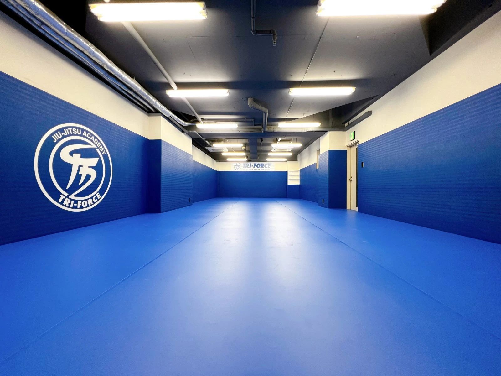 TRY-FORCE(トライフォース) ブラジリアン柔術 SHINJUKUのサムネイル画像 5