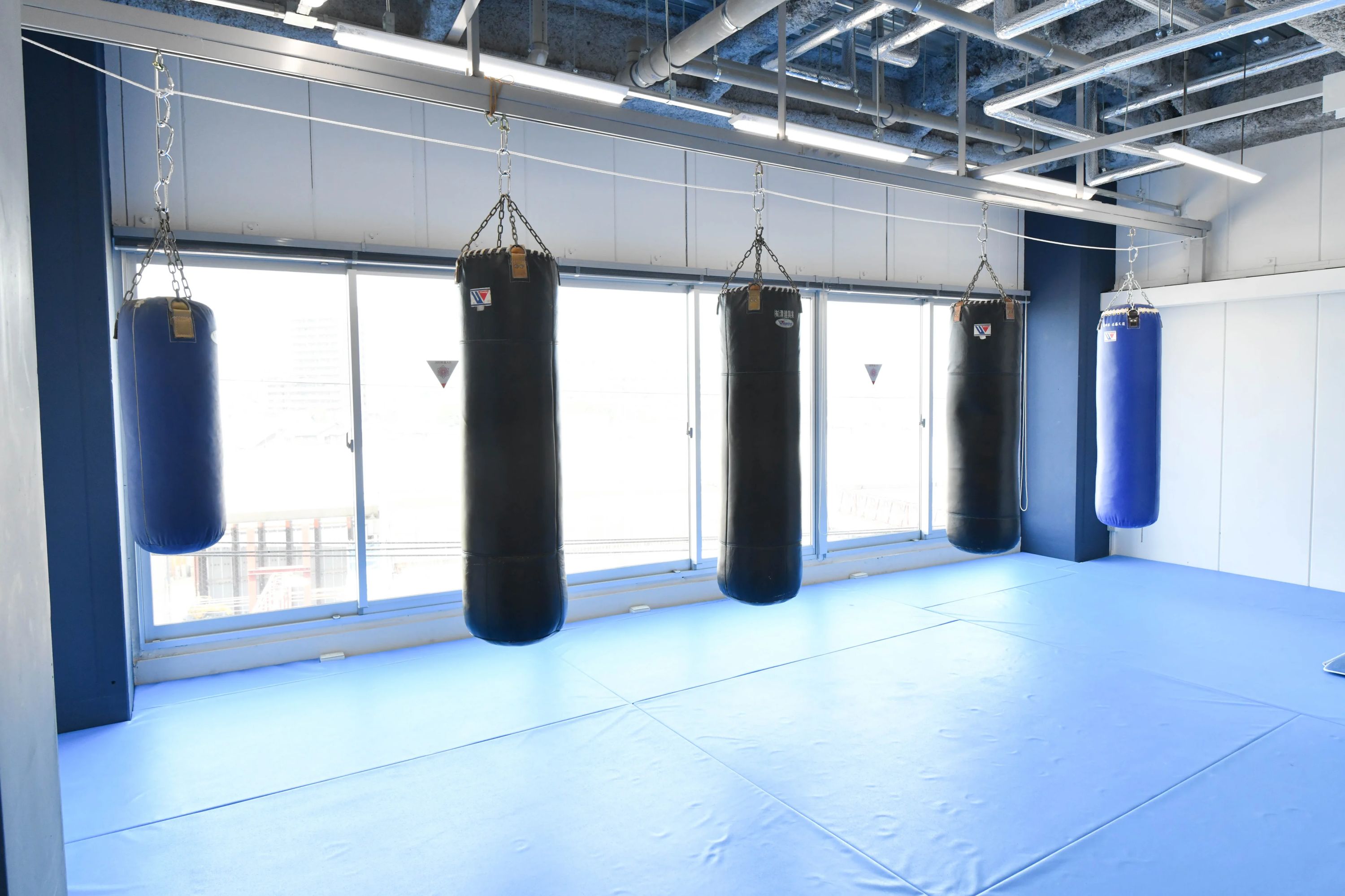 WORLDSPORTS(ワールドスポーツ) ボクシング 竹の塚教室のサムネイル画像 2