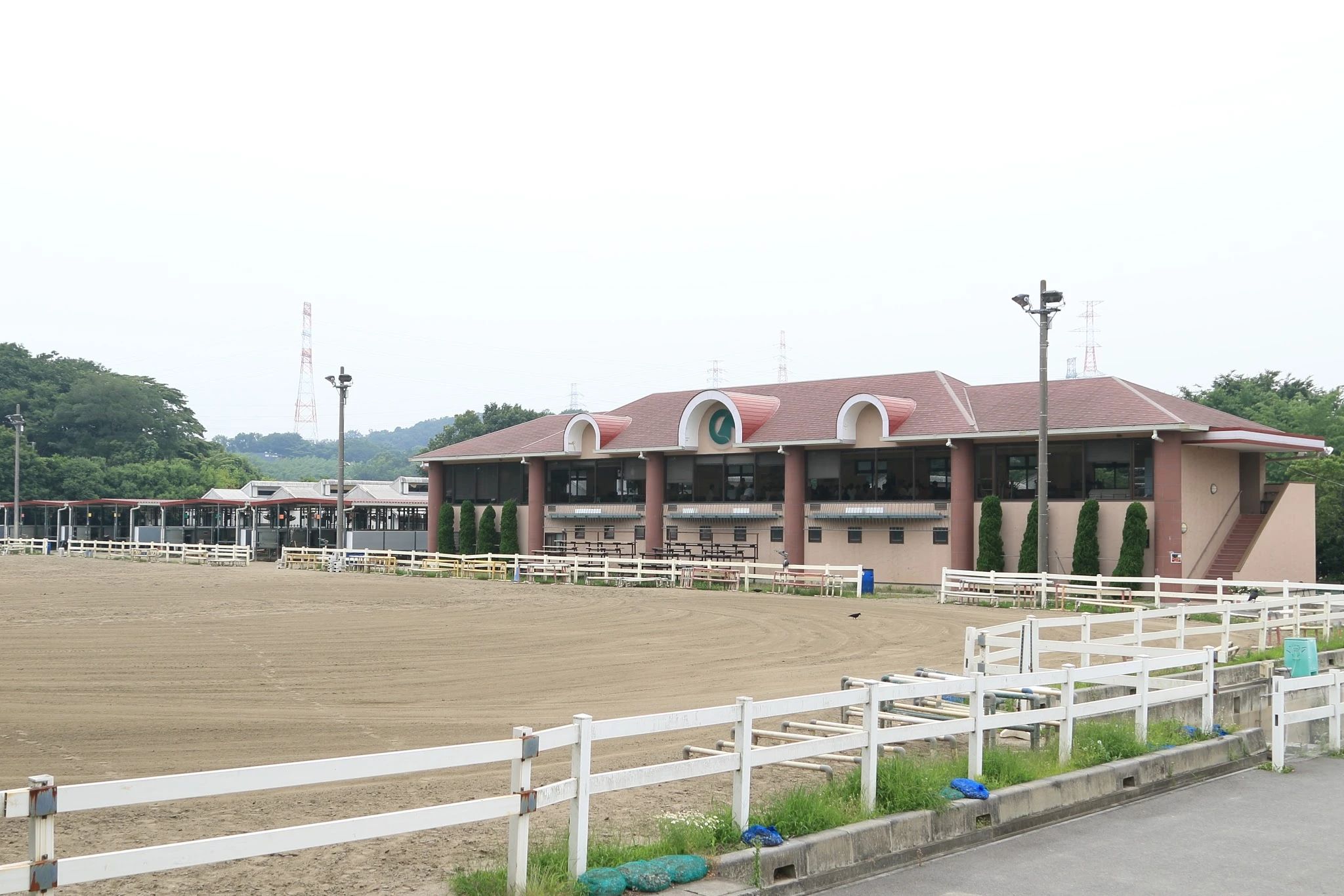 乗馬クラブCRANE(クレイン) 乗馬クラブ クレイン東京のメイン画像