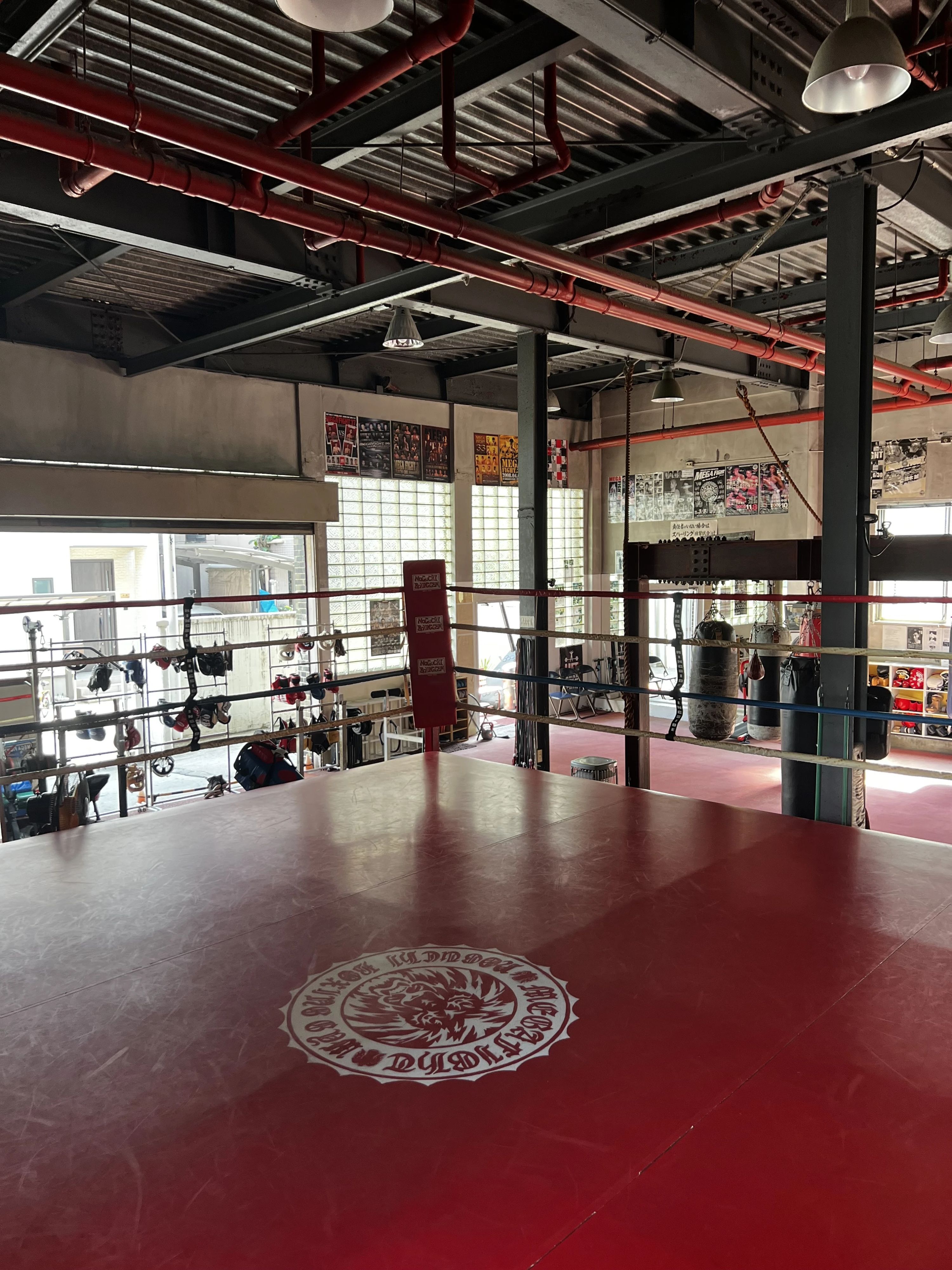 NOGUCHI(野口ボクシングジム) 千住龍田町教室のメイン画像