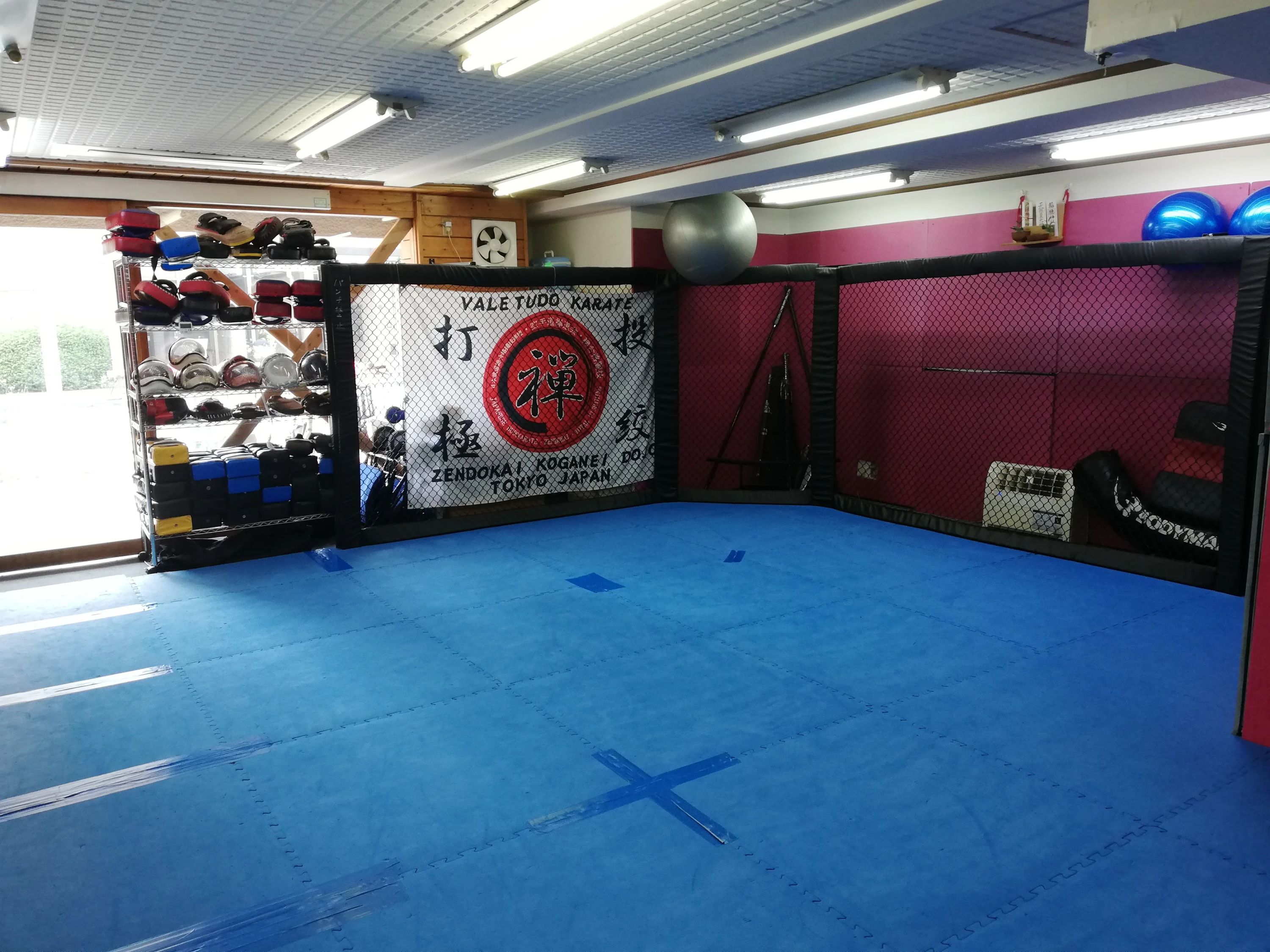 キッズブラジリアン柔術 小金井教室のサムネイル画像 3