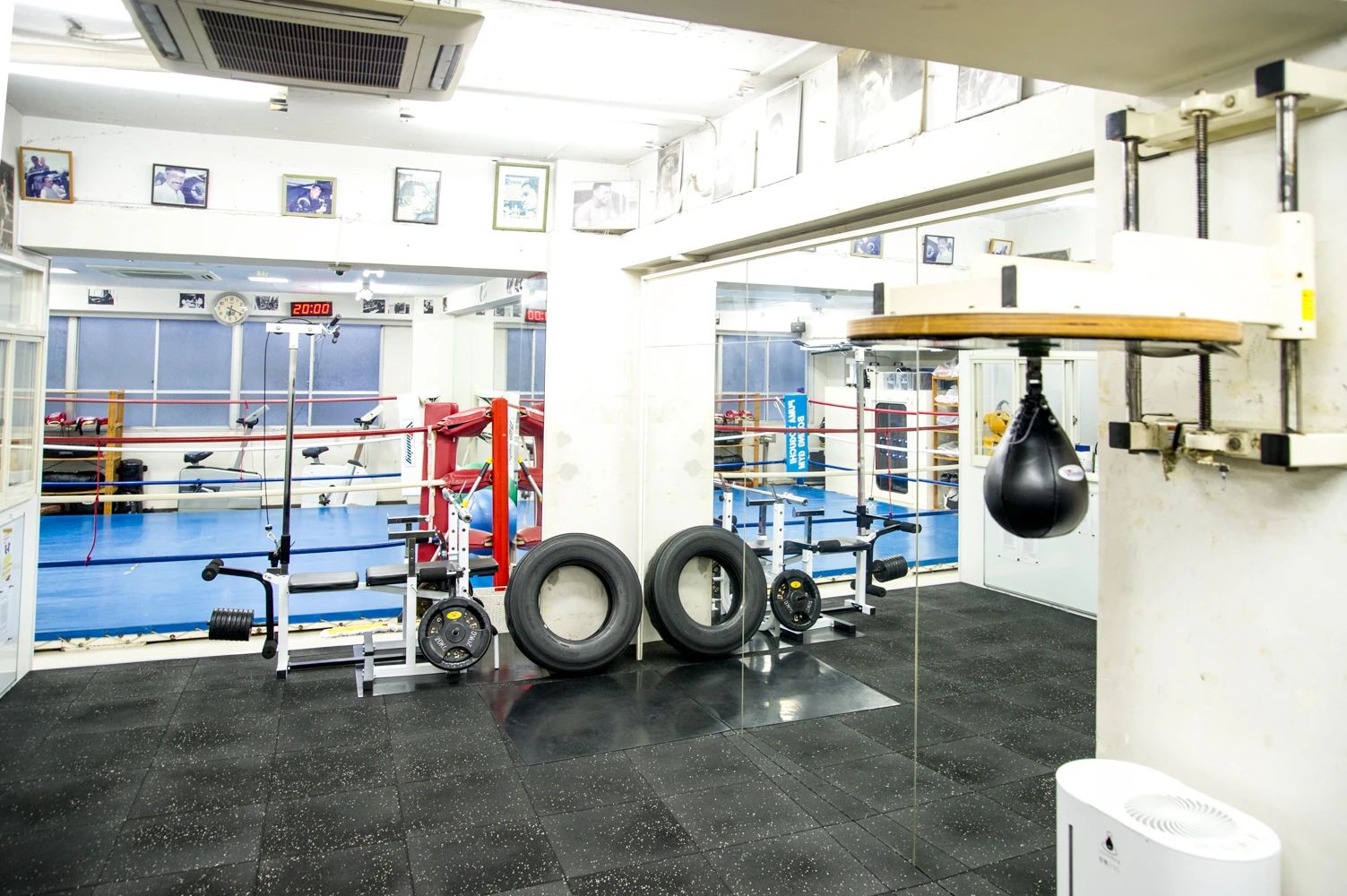 PUMA TOGUCHI BOXING(ピューマ渡久地ボクシングジム) 東麻布教室のサムネイル画像 5