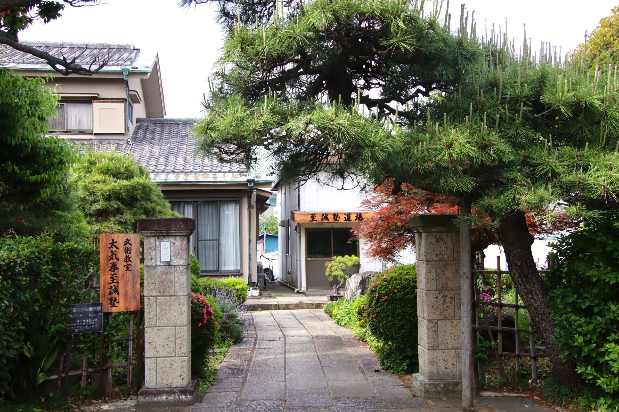 太気拳至誠塾 柴又教室のメイン画像