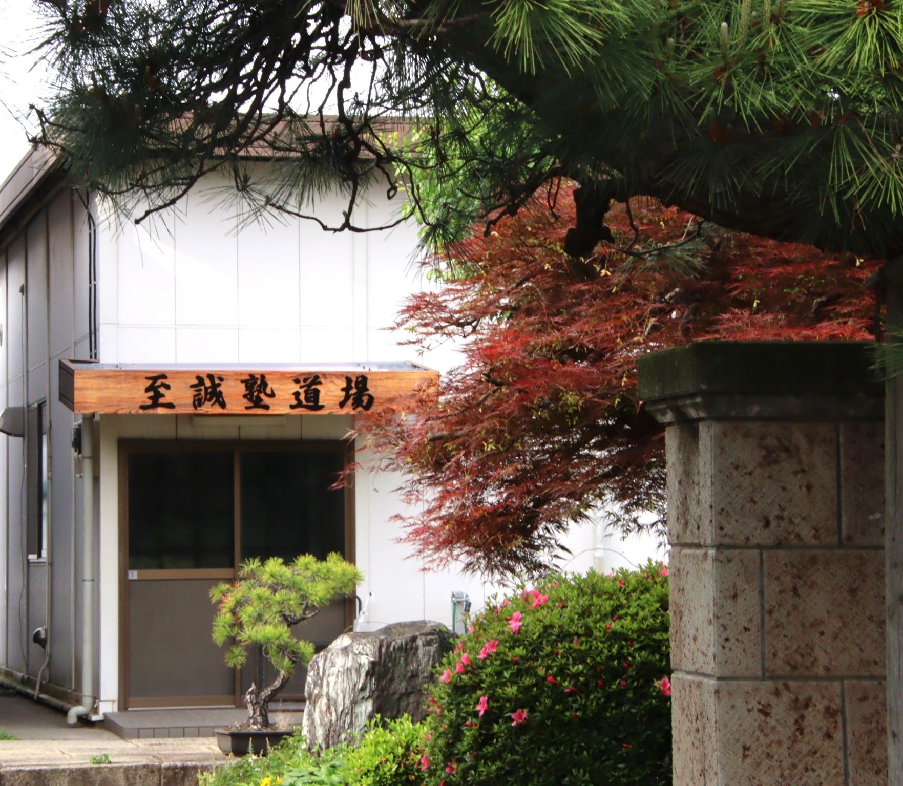 太気拳至誠塾 柴又教室のサムネイル画像 3