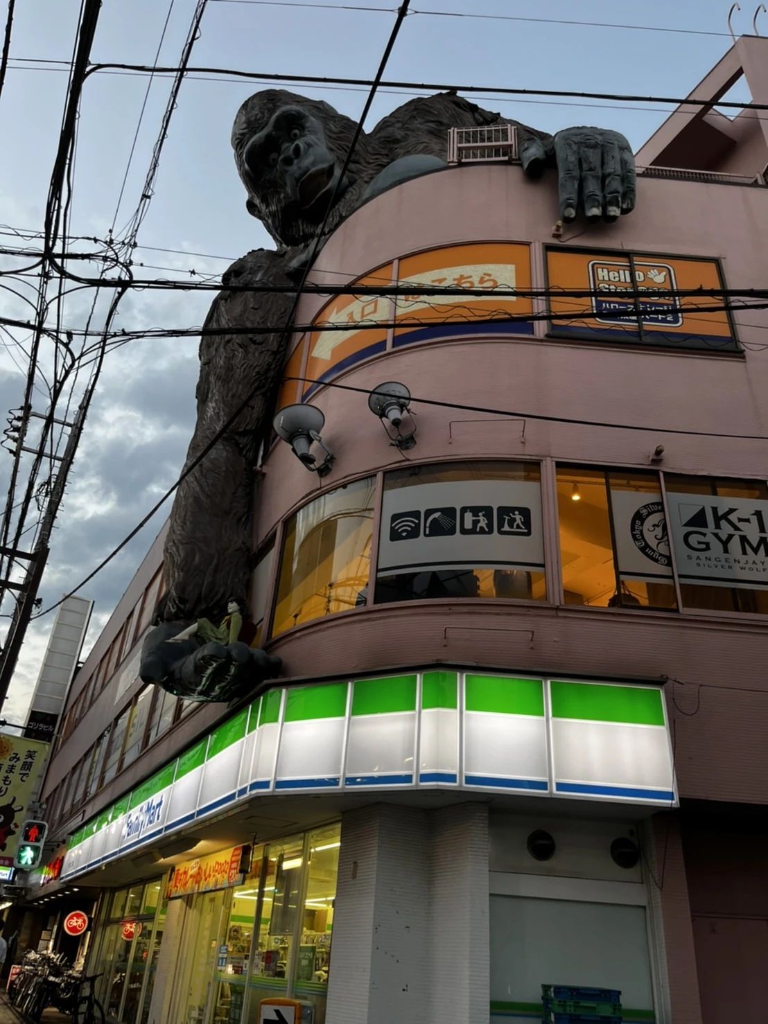 K-1(ケーワン)ジム三軒茶屋シルバーウルフ 太子堂教室のサムネイル画像 2