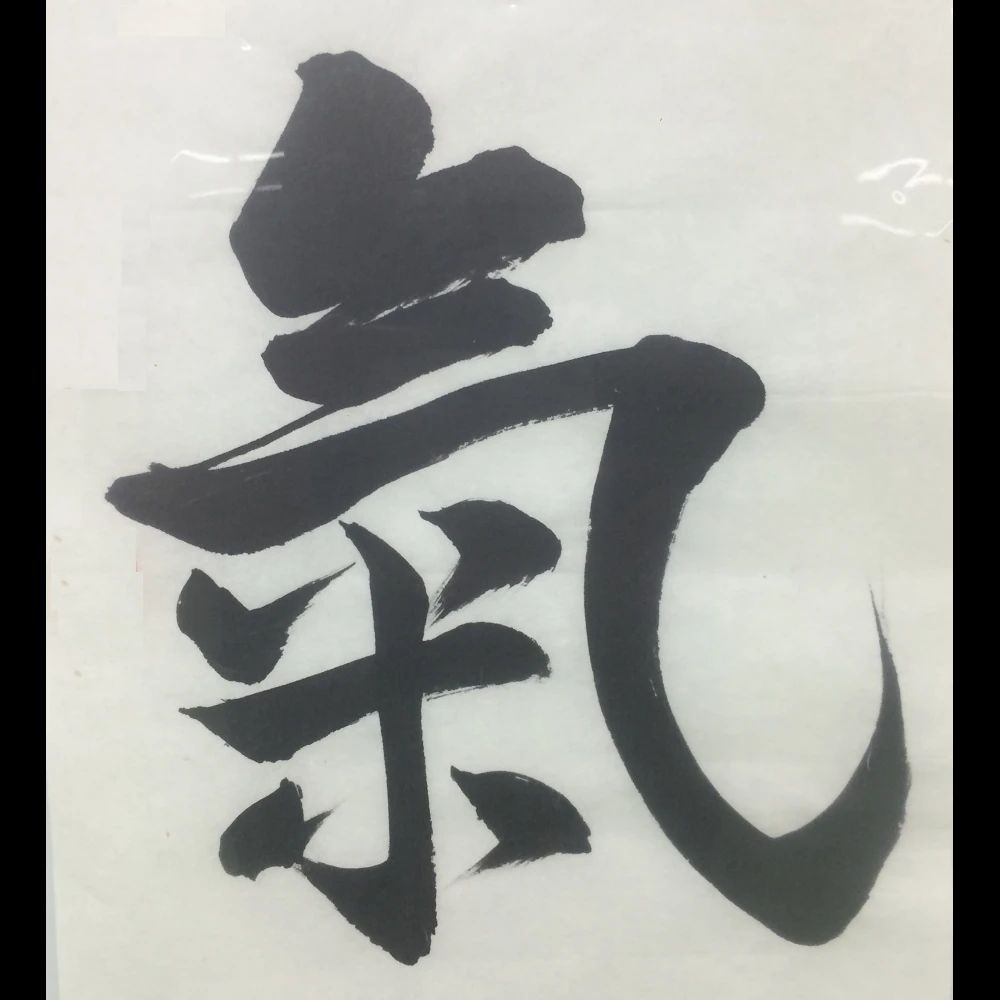 心身統一合氣道会 新檜尾台教室のメイン画像