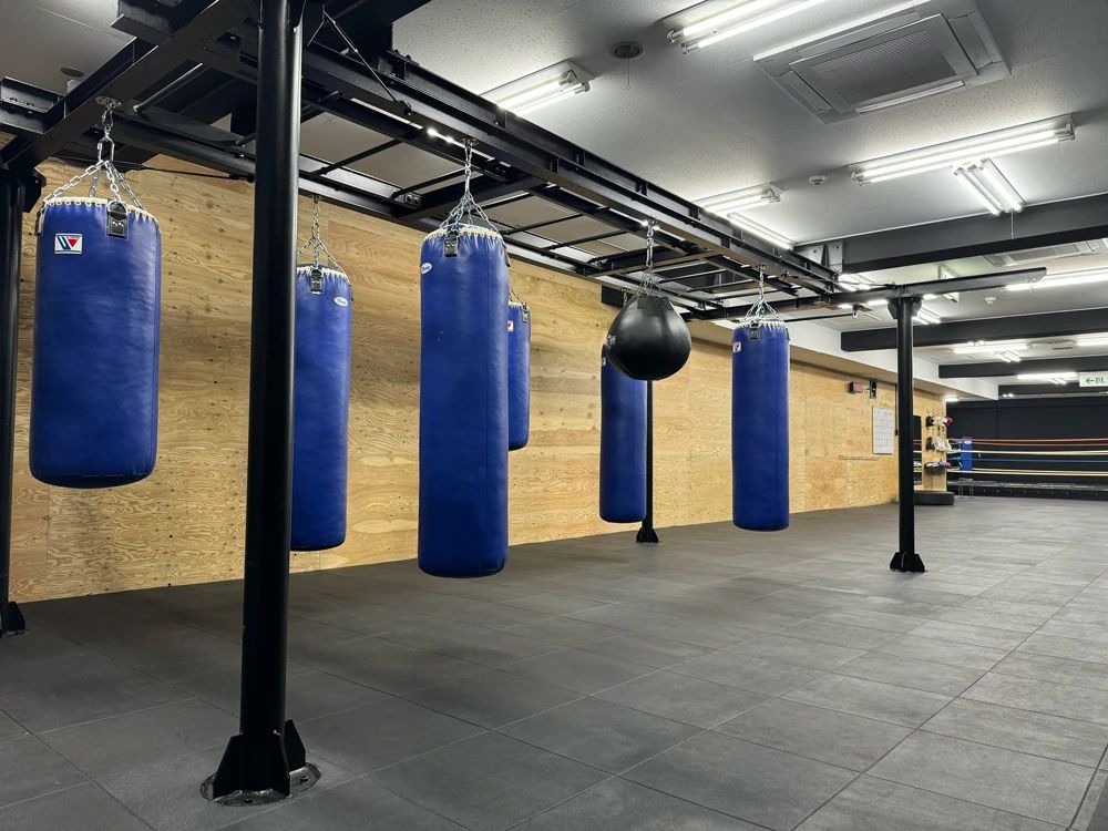 横浜光ボクシングジム 佃野町教室のサムネイル画像 3