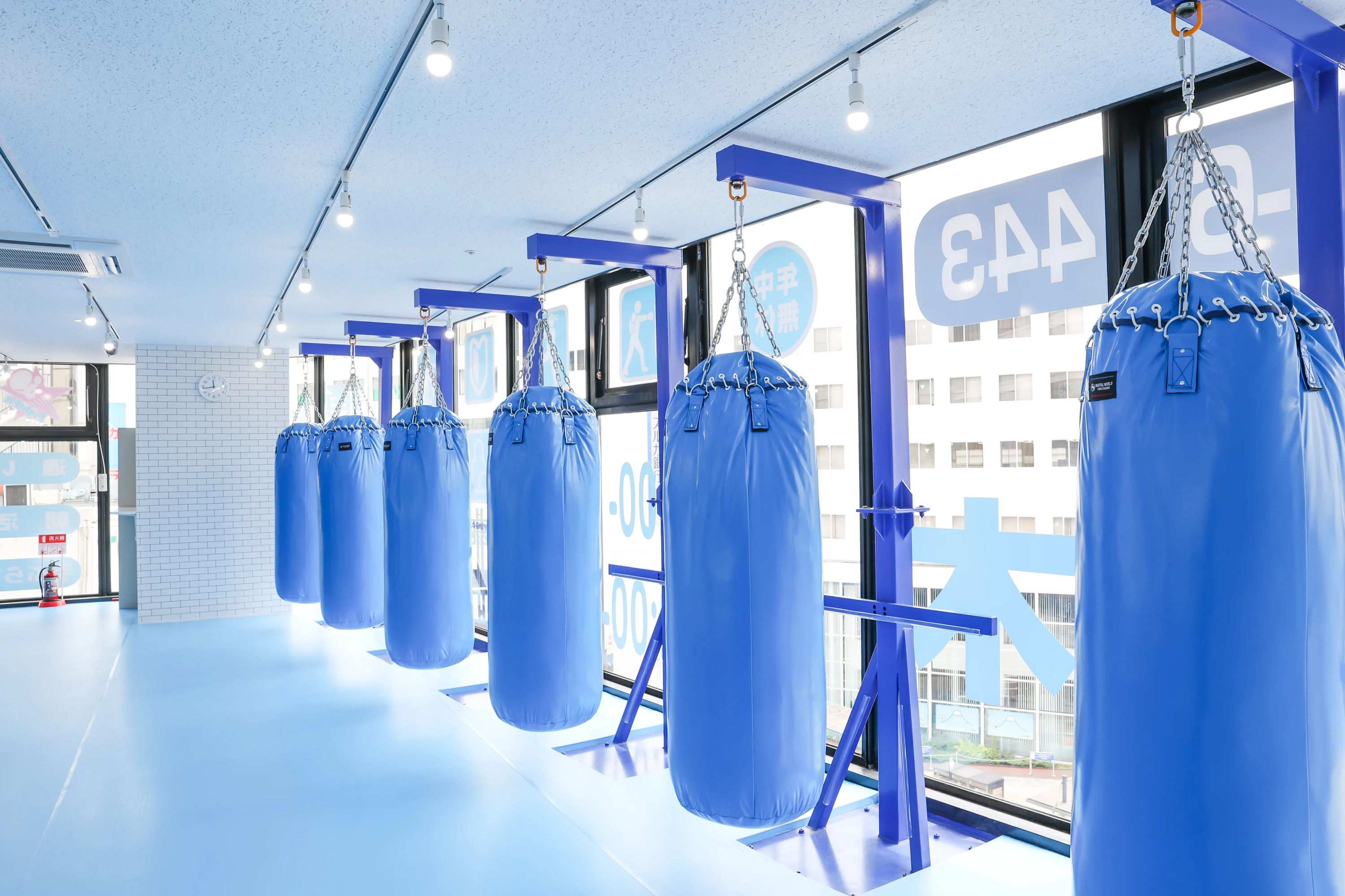 トイカツ道場 キックボクシング ファイトフィット本厚木のサムネイル画像 3