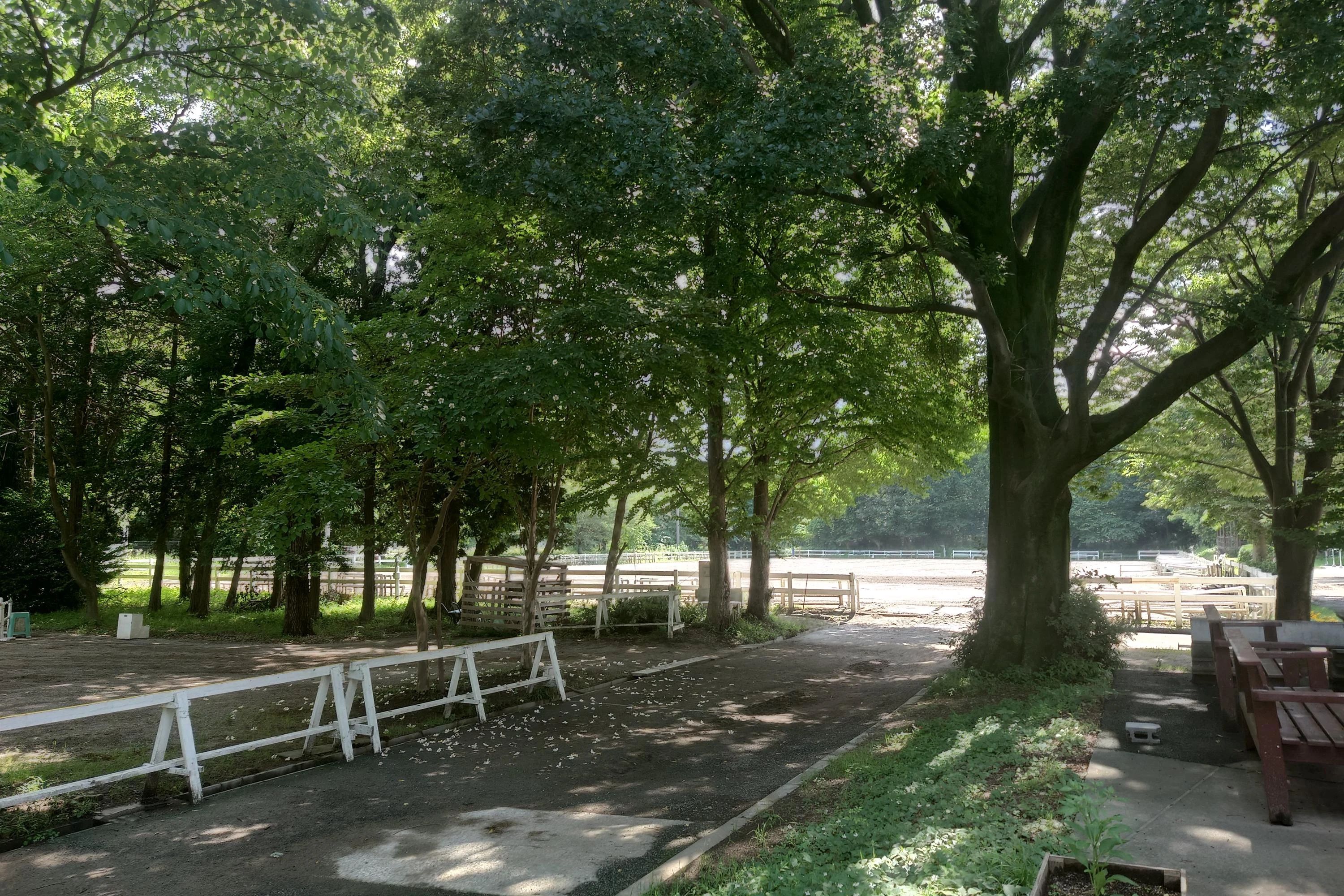 乗馬クラブCRANE(クレイン) 乗馬クラブ クレイン伊奈のメイン画像