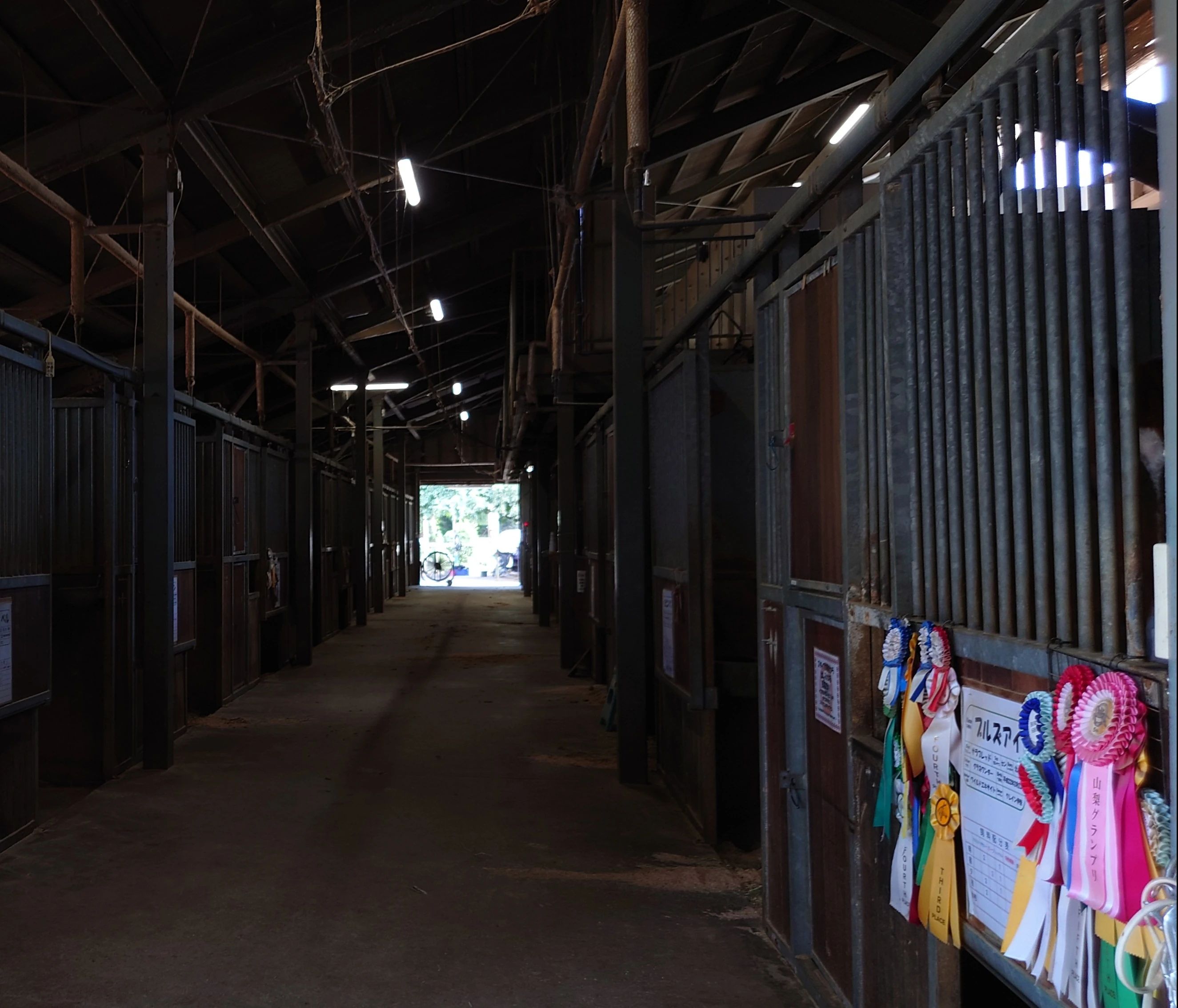 乗馬クラブCRANE(クレイン) 乗馬クラブ クレイン伊奈のサムネイル画像 3