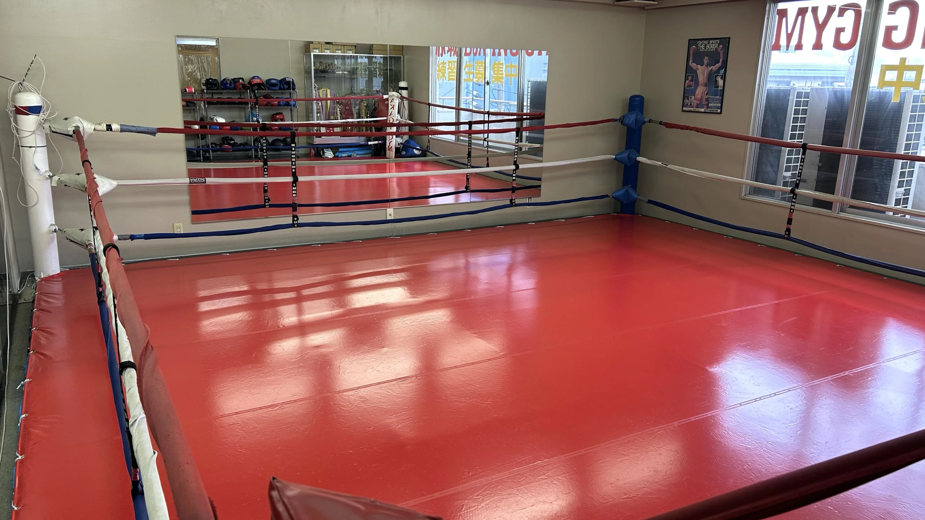 本千葉BOXING GYM 長洲教室のサムネイル画像 3