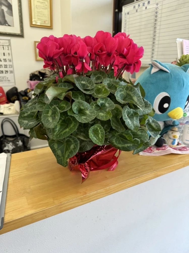 MITANI YAMATO SPORTS GYM(三谷大和スポーツジム) 八千代台東教室のサムネイル画像 2