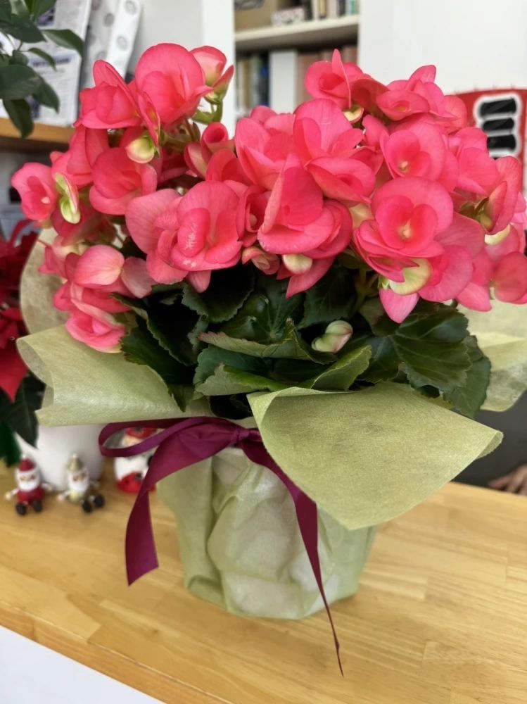 MITANI YAMATO SPORTS GYM(三谷大和スポーツジム) 八千代台東教室のサムネイル画像 3