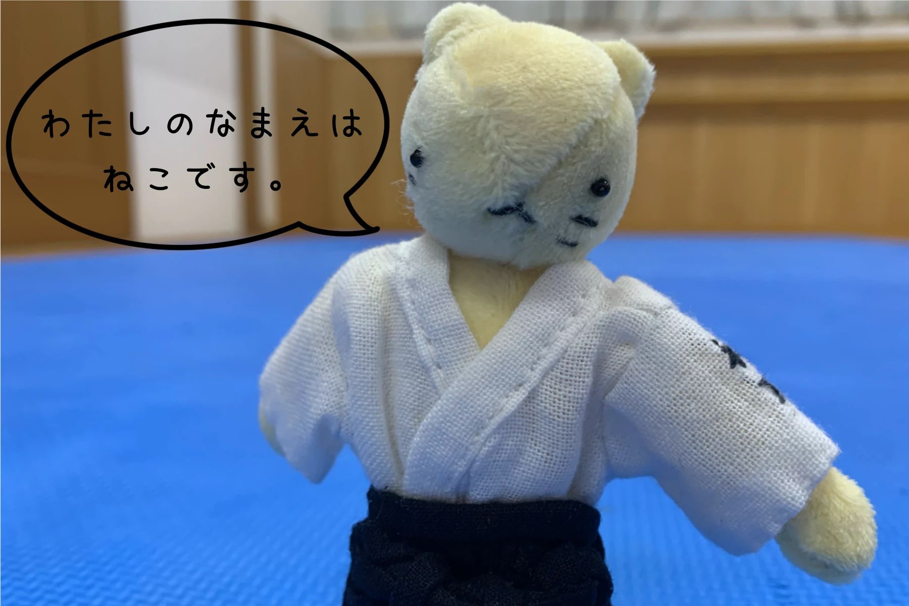 心身統一合氣道会 七里教室のメイン画像