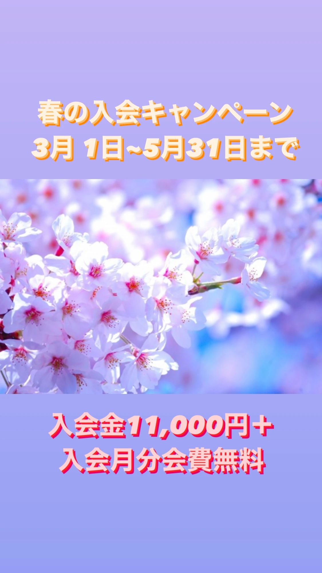 KASHIMA (カシマ)DOJO 総合格闘技 筒井教室のメイン画像