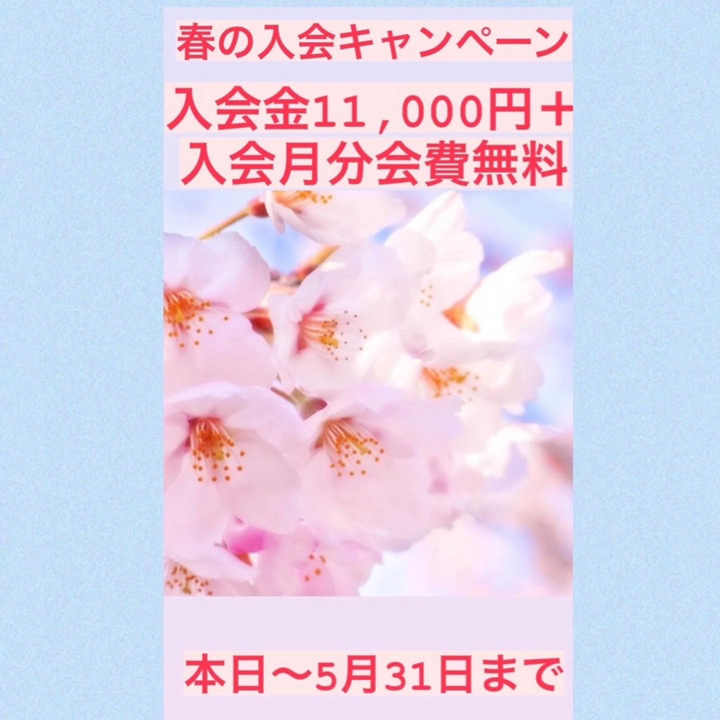 KASHIMA (カシマ)DOJO 総合格闘技 筒井教室のサムネイル画像 4