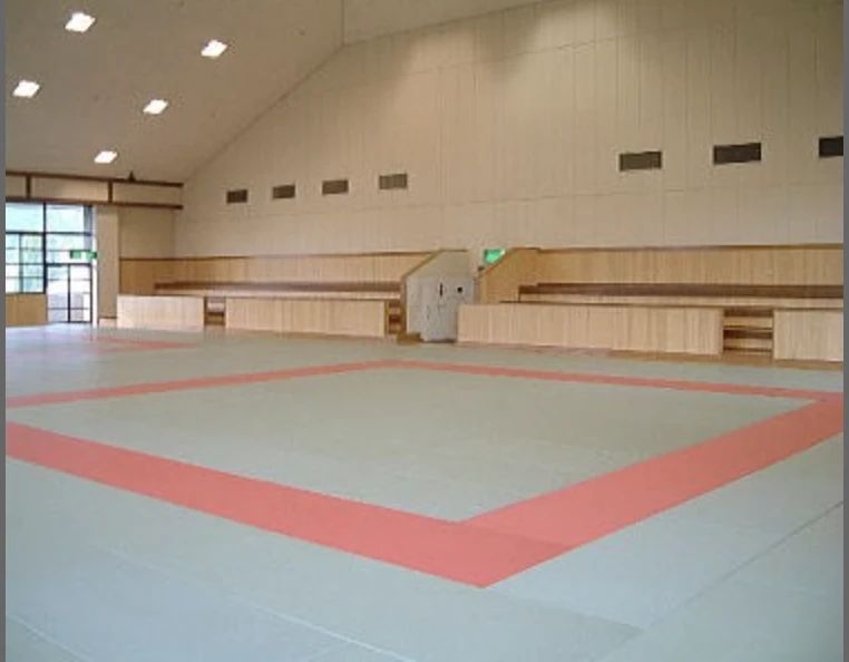 心身統一合気道 足利教室のメイン画像