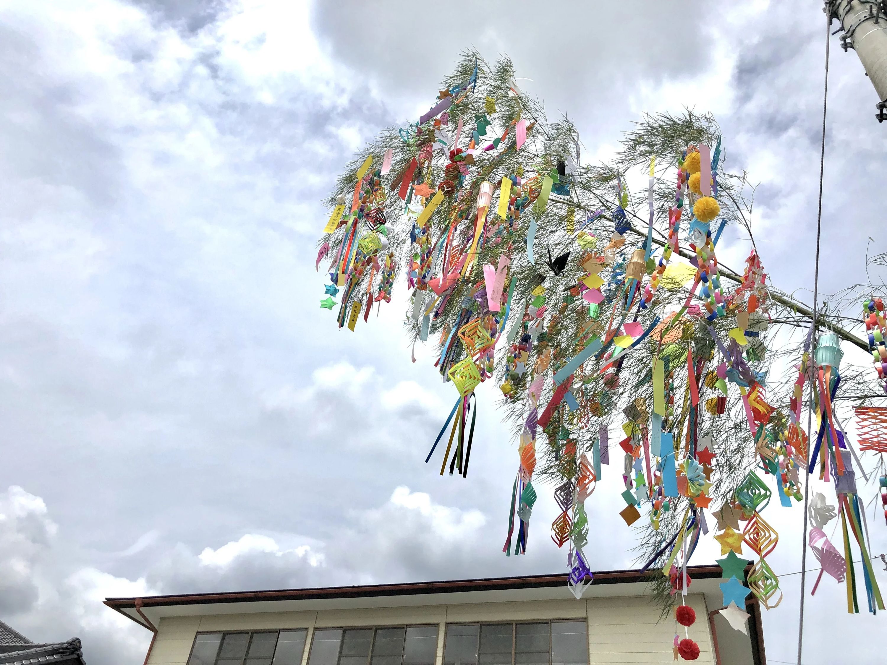 天通合氣道 上野町教室のサムネイル画像 2