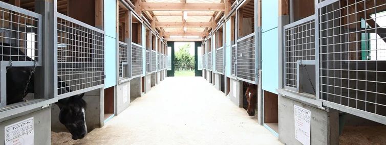 乗馬クラブCRANE(クレイン) ヴィテン乗馬クラブ・クレイン金沢のサムネイル画像 3