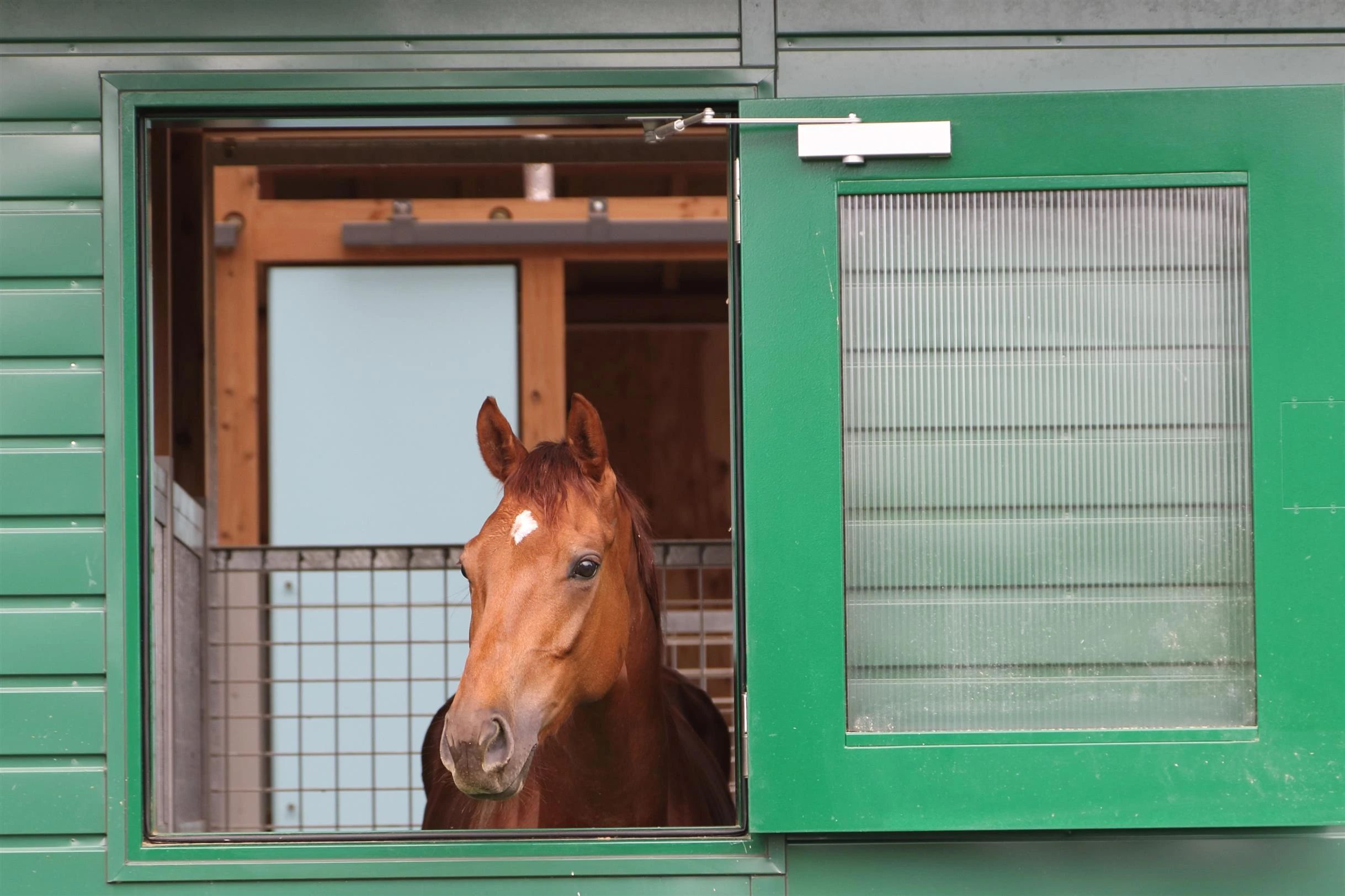 乗馬クラブCRANE(クレイン) ヴィテン乗馬クラブ・クレイン金沢のサムネイル画像 5