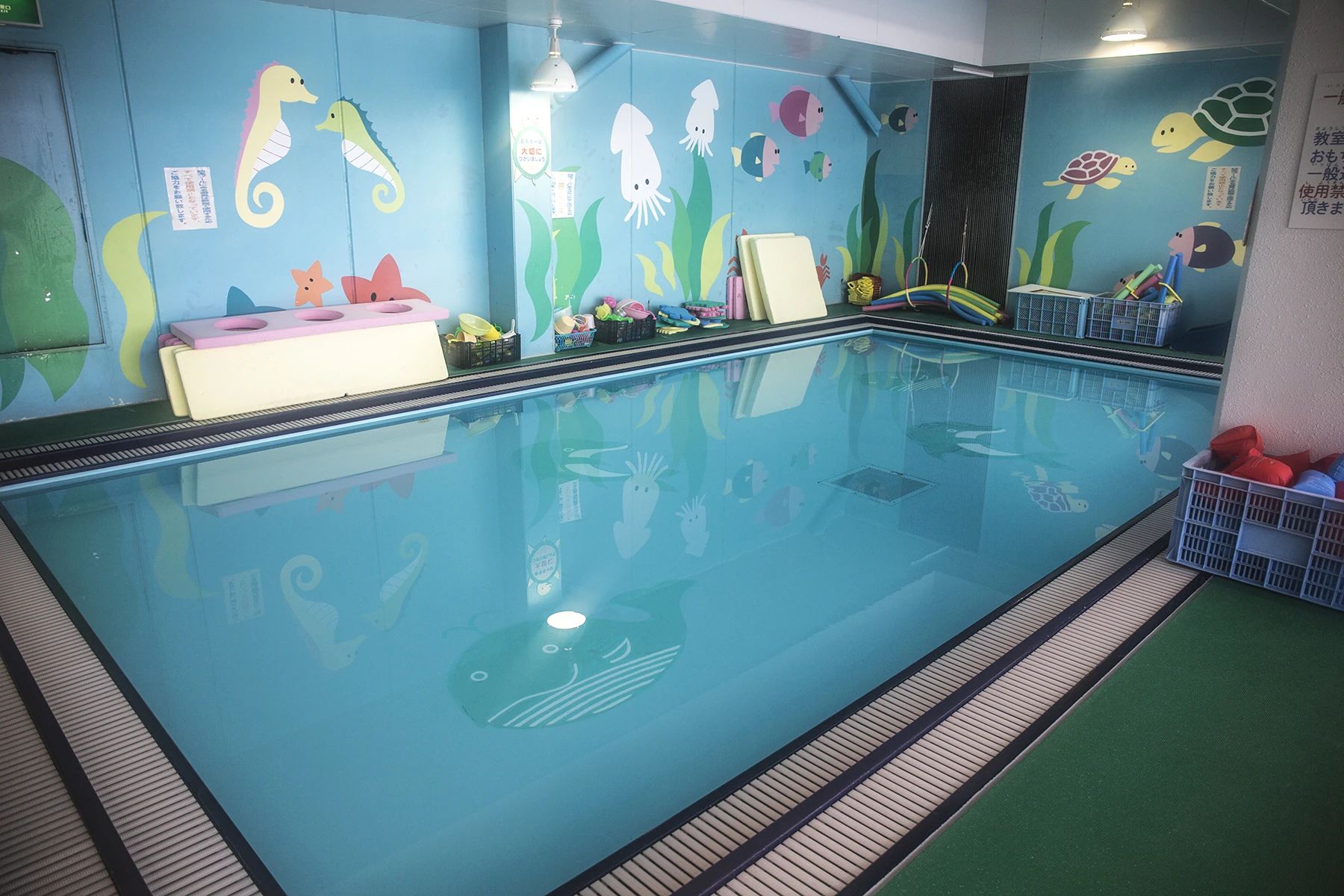 邦和スポーツランド フィギュアスケート 港栄教室のサムネイル画像 3