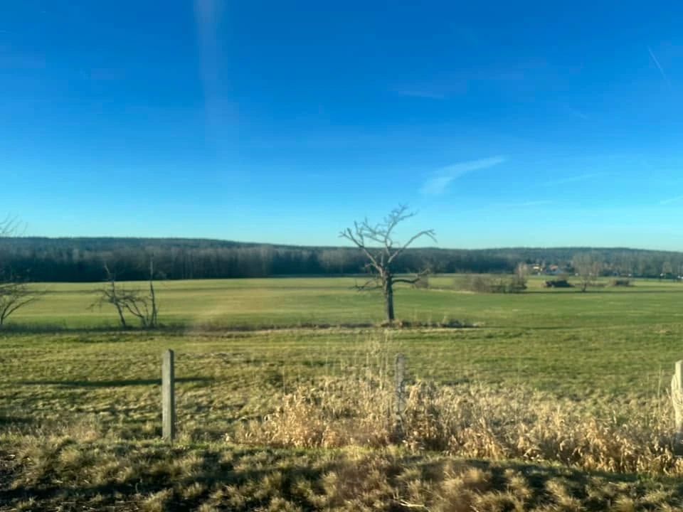 心身統一合気道 一宮教室のメイン画像