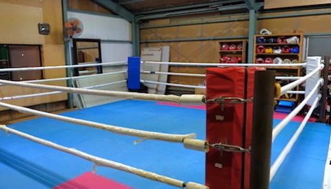 アニマルハウス ボクシング 拾石町教室のメイン画像