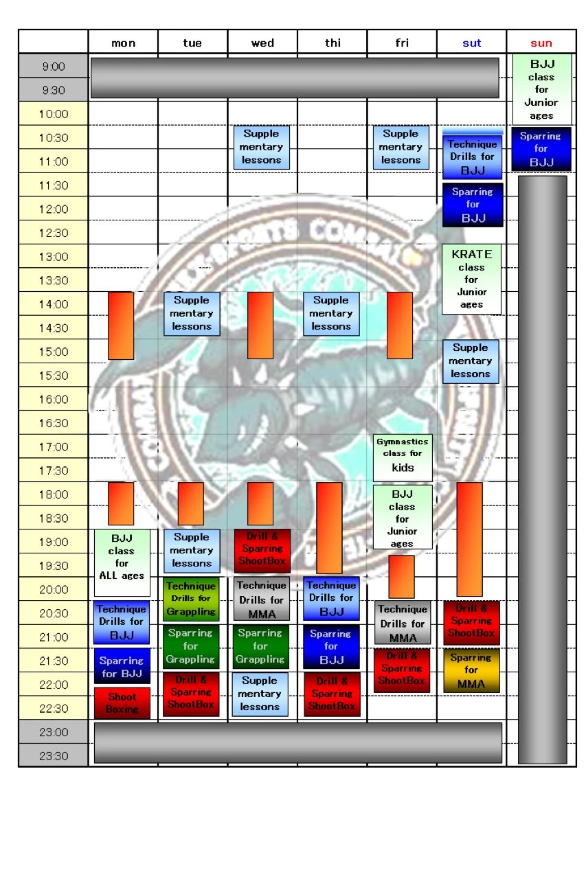 ネックススポーツ 格闘技 常普請教室のサムネイル画像 2