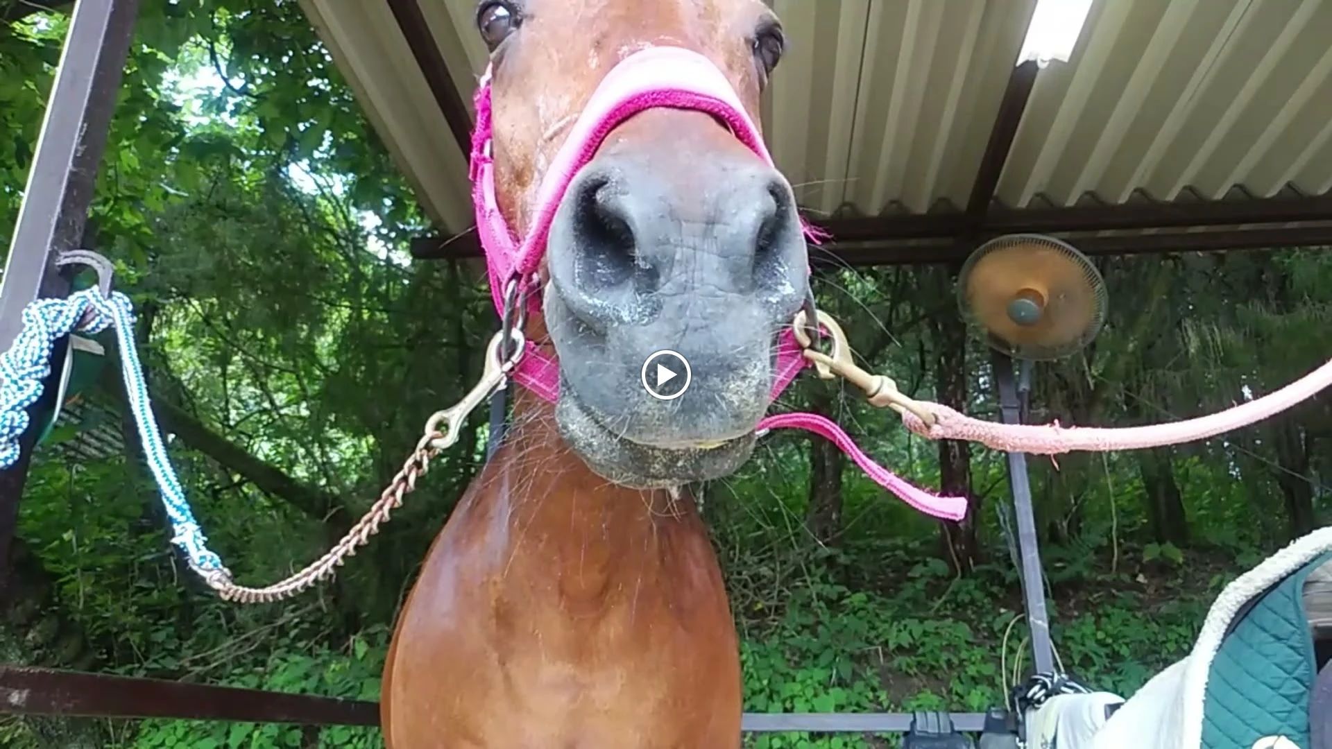 乗馬クラブCRANE(クレイン) 乗馬クラブ クレイン恵那のサムネイル画像 2