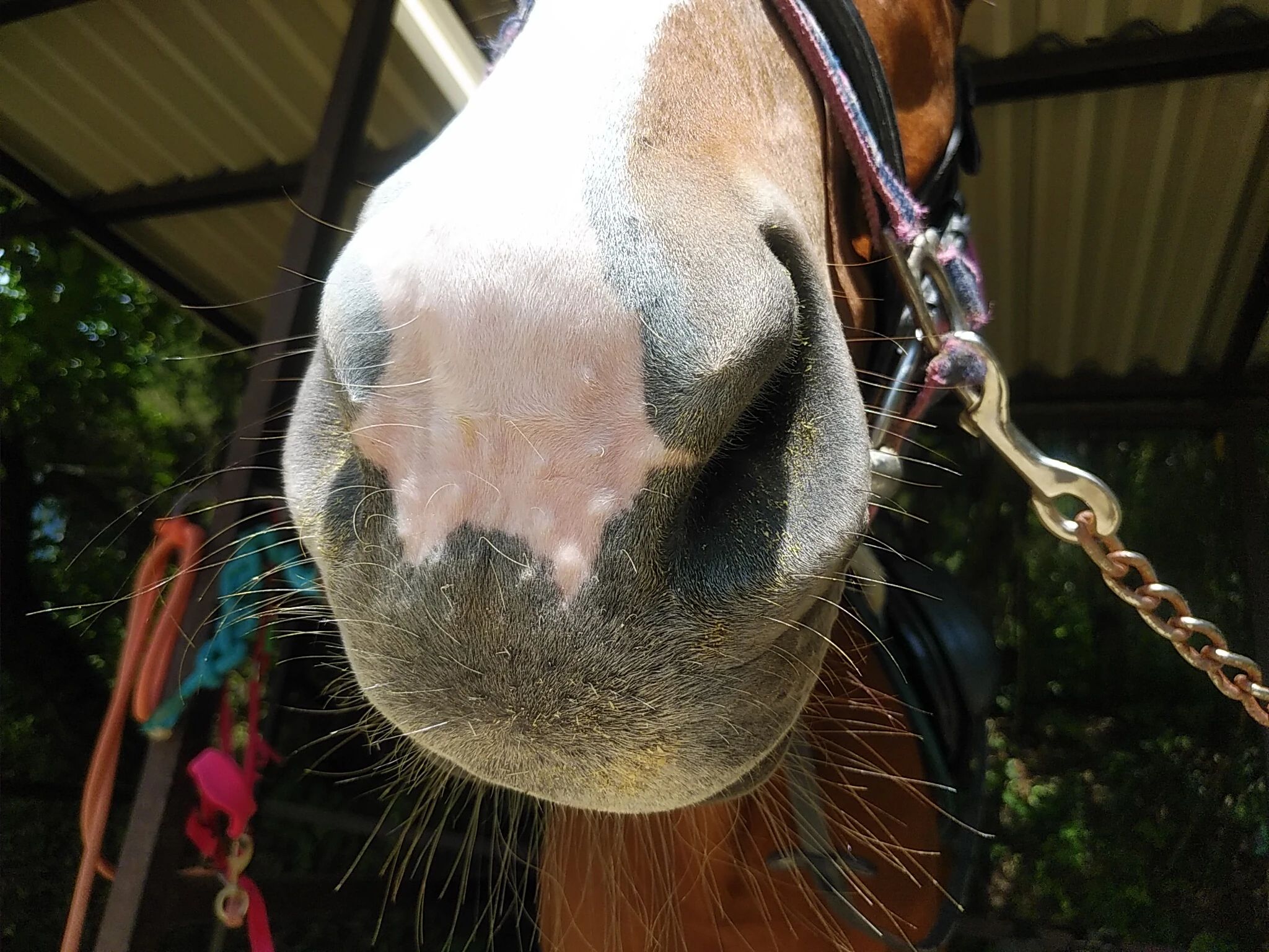 乗馬クラブCRANE(クレイン) 乗馬クラブ クレイン恵那のサムネイル画像 5