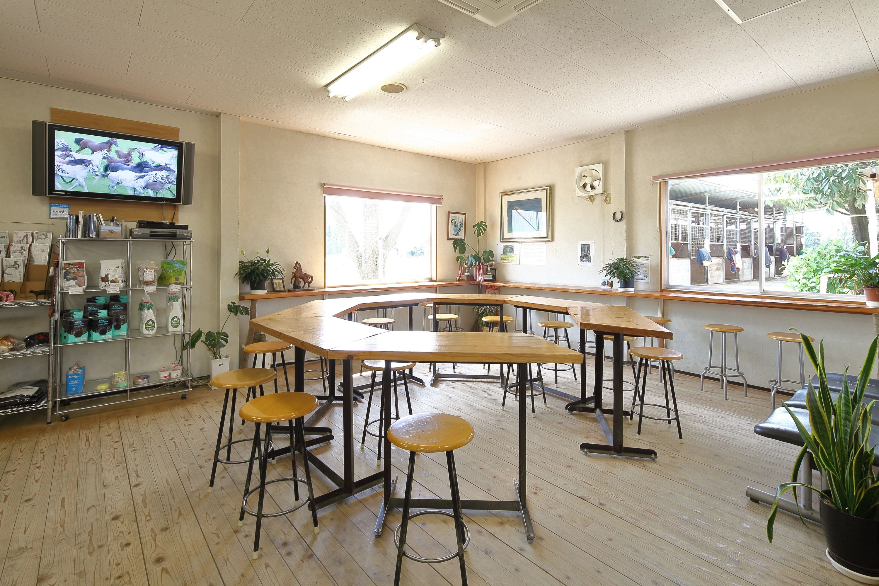 乗馬クラブCRANE(クレイン) HAS浜松乗馬クラブのメイン画像