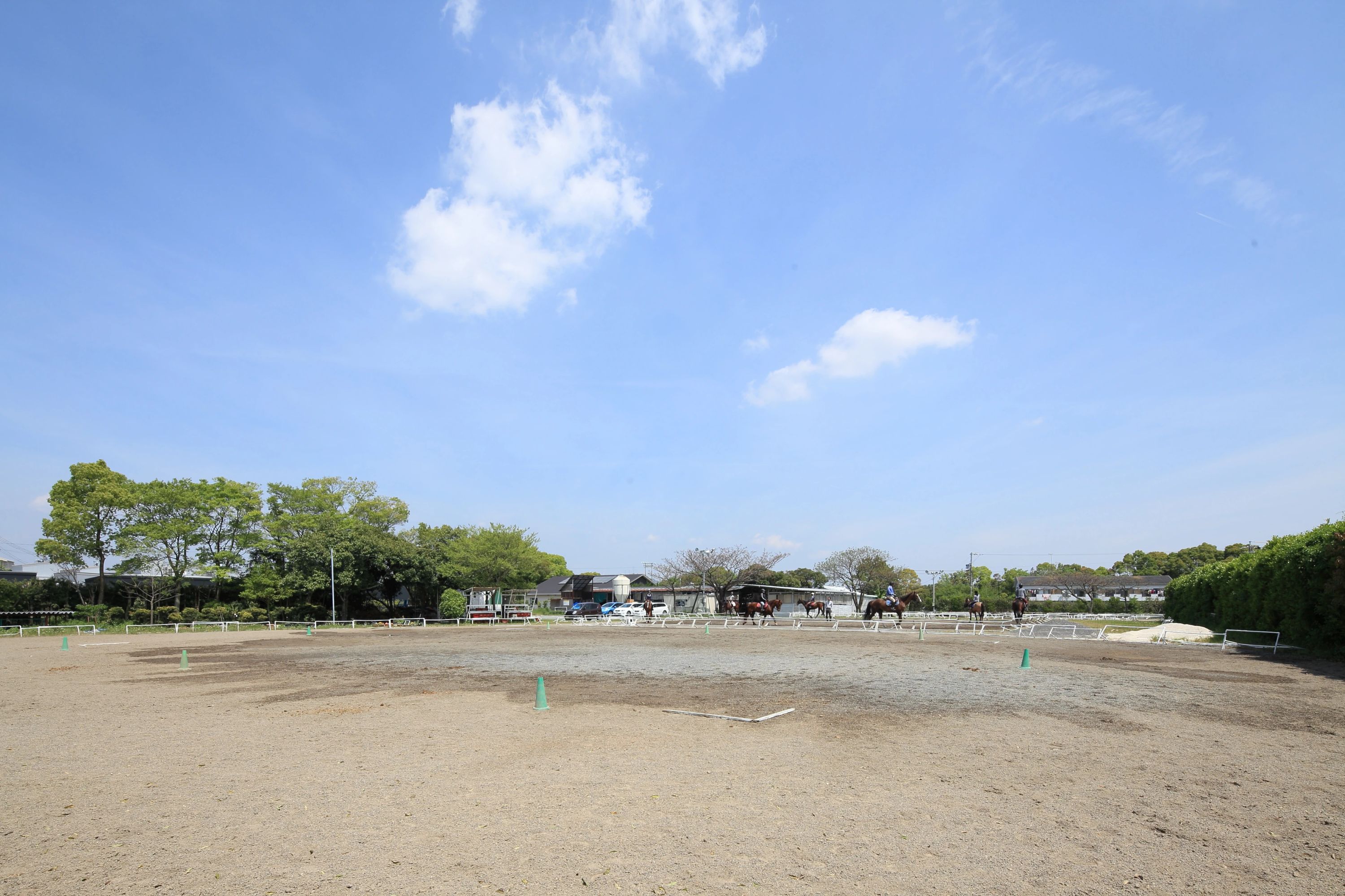 乗馬クラブCRANE(クレイン) HAS浜松乗馬クラブのサムネイル画像 4