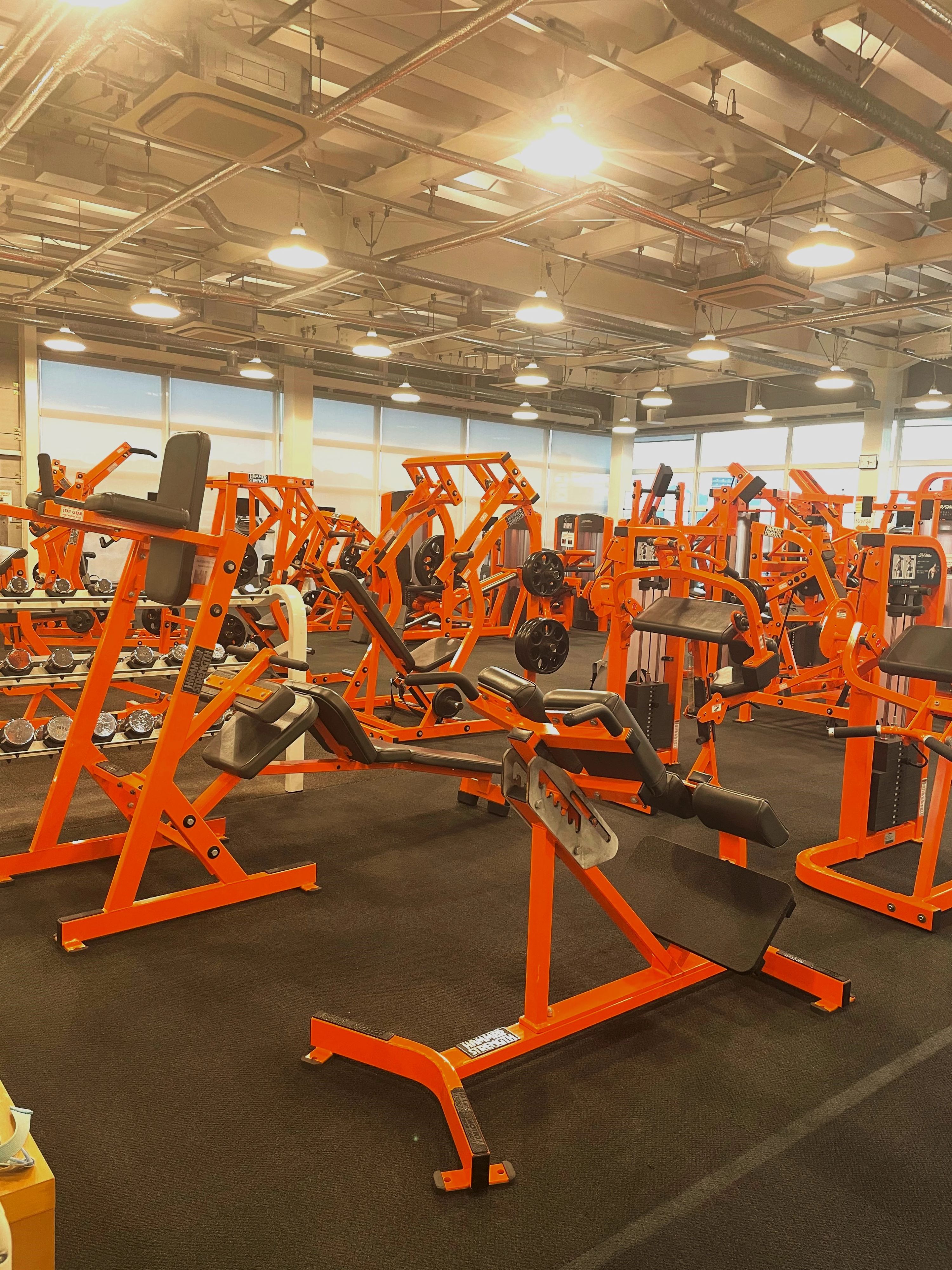 turtle workout(タートルワークアウト) 合気道 東御幸町教室のサムネイル画像 2