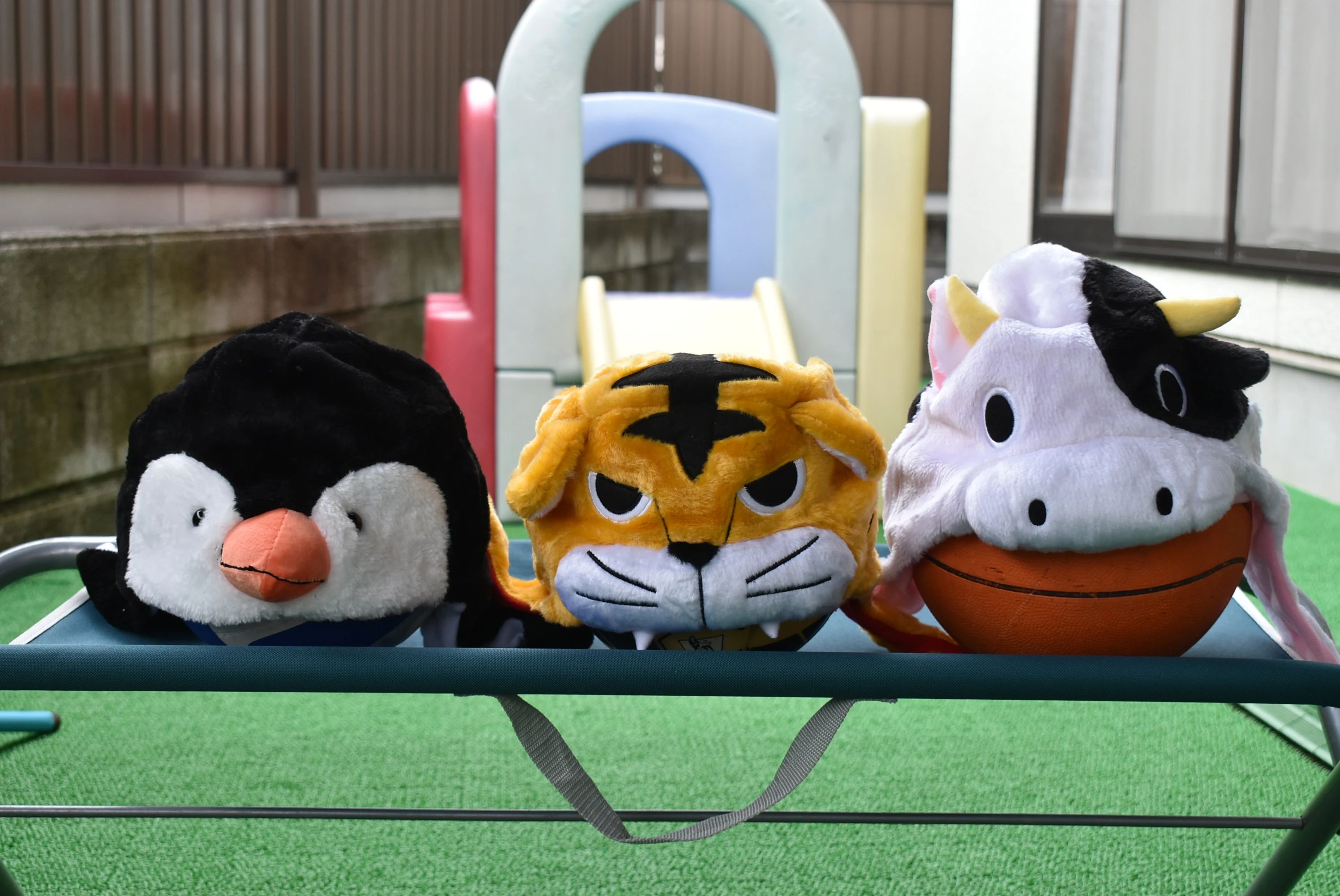 一般社団法人アソビプラスのメイン画像