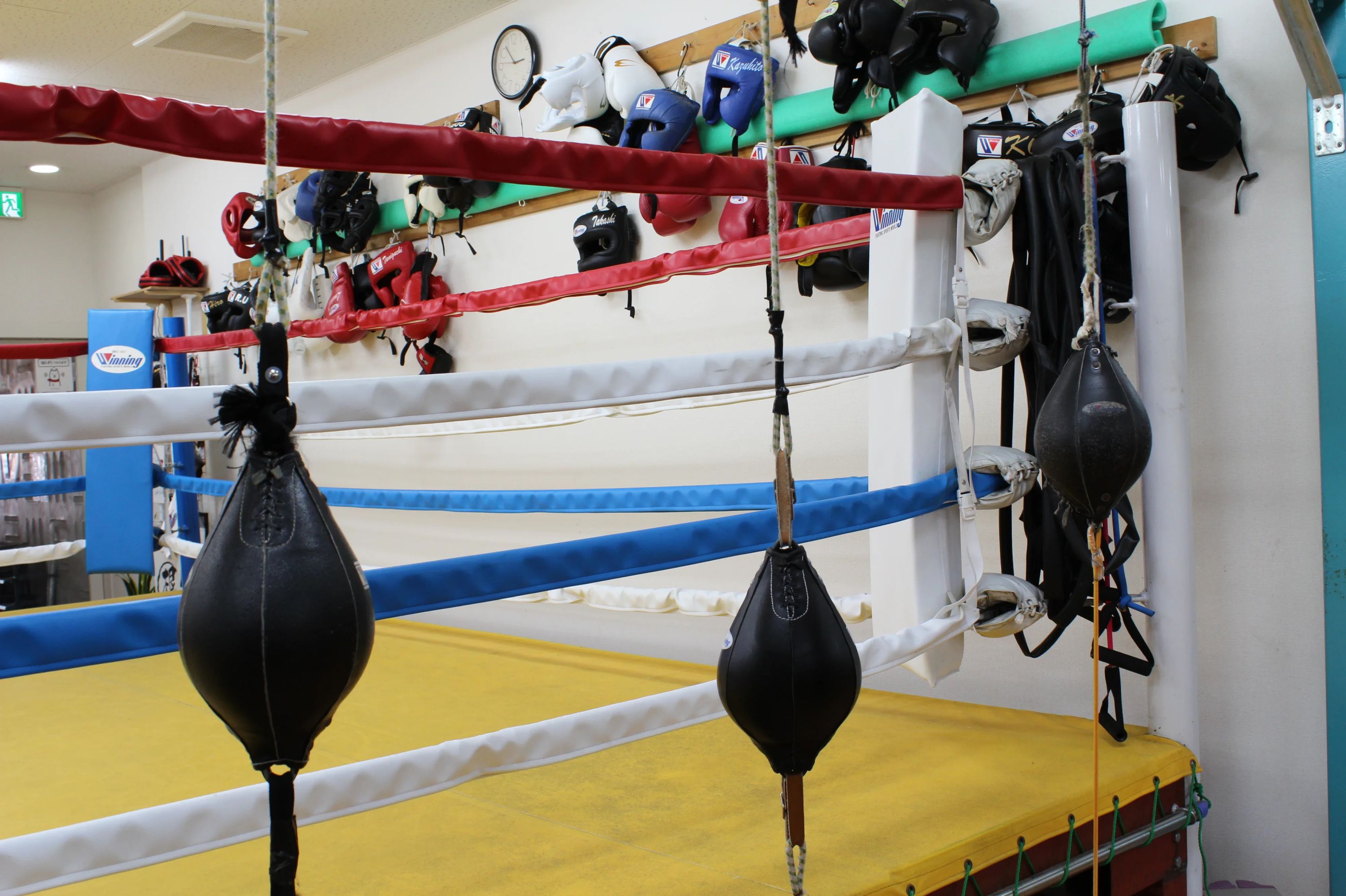 ワイルドビートスポーツジム ボクシング 曽根西町教室のサムネイル画像 3