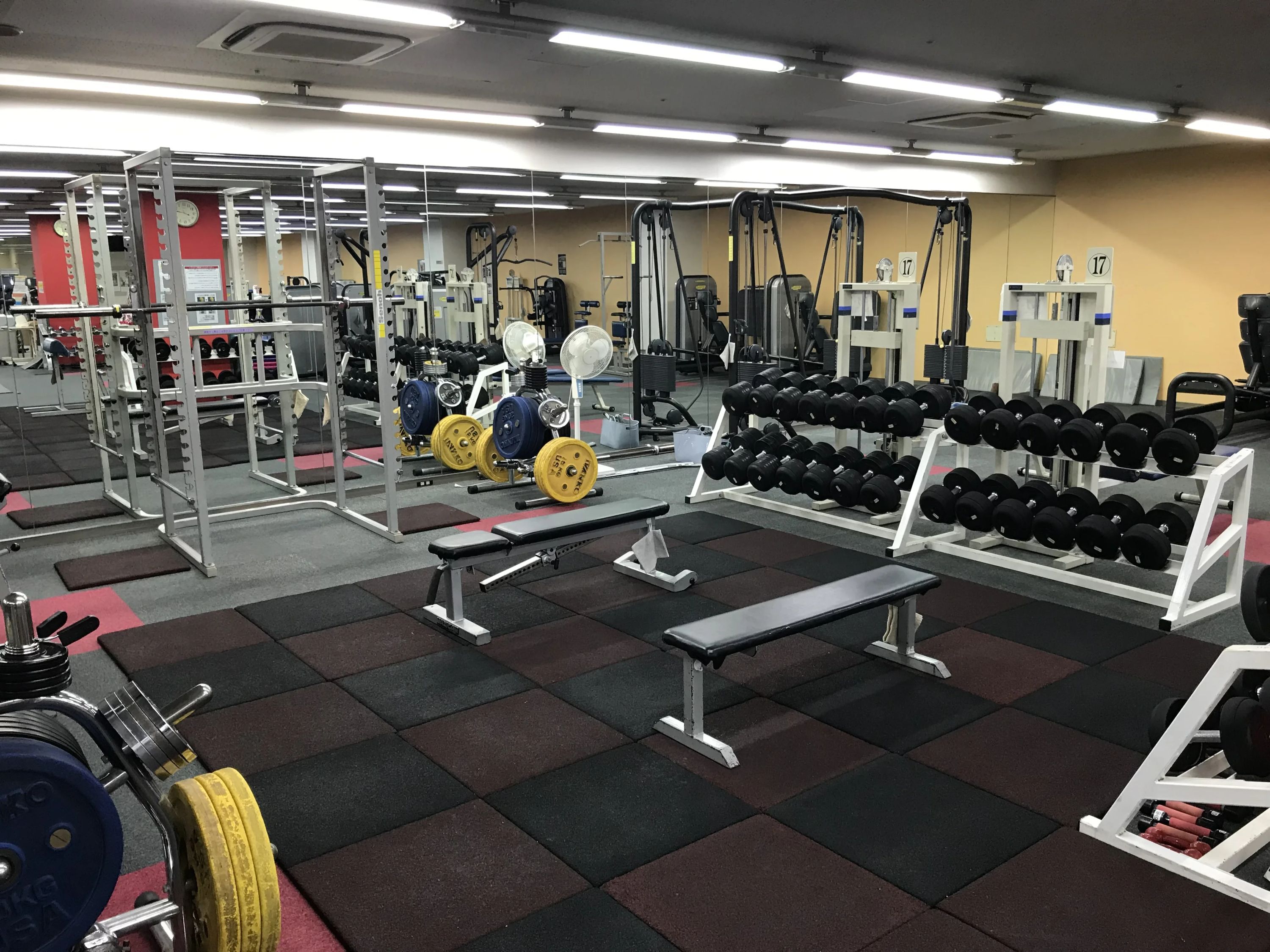 KONAMI SPORTS CLUB(コナミスポーツクラブ) トランポリン 北千里のメイン画像