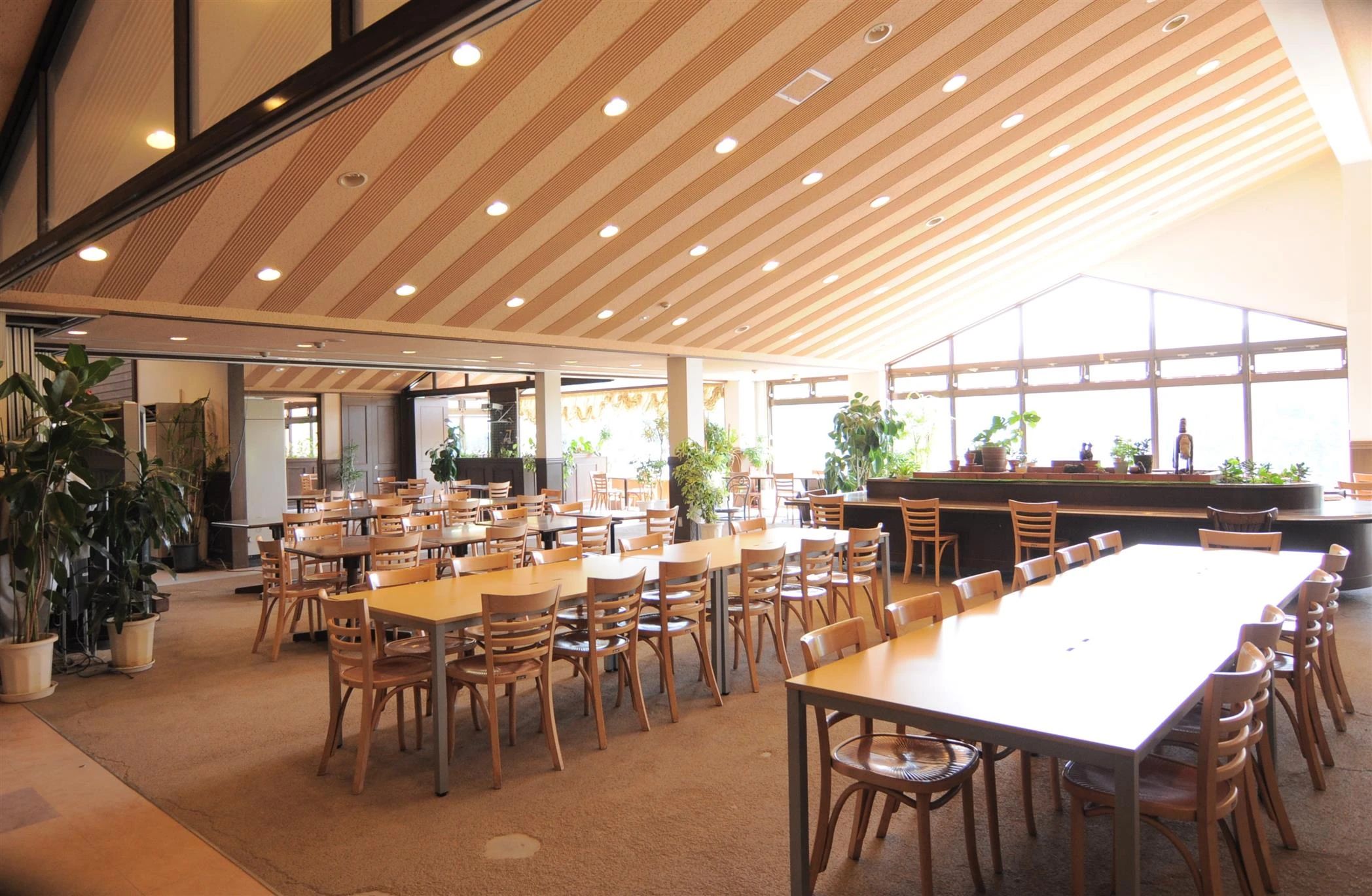 乗馬クラブCRANE(クレイン) 服部緑地乗馬センター（業務提携）のサムネイル画像 2