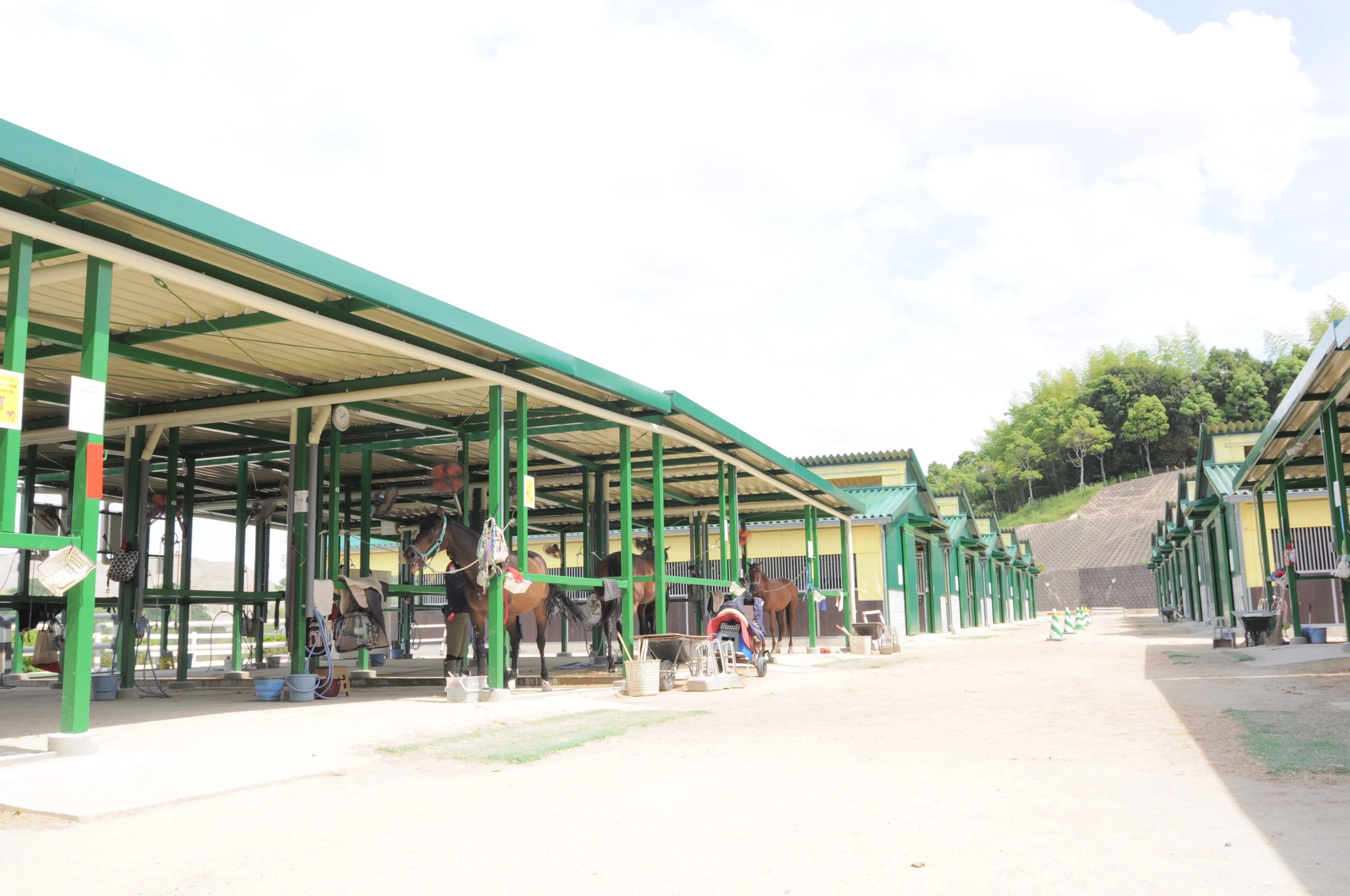 乗馬クラブCRANE(クレイン) 乗馬クラブ クレイン学研枚方のサムネイル画像 2