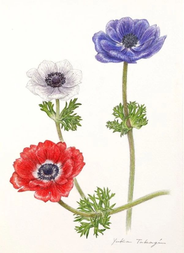 心身統一合気道 NHKカルチャー京都教室のメイン画像