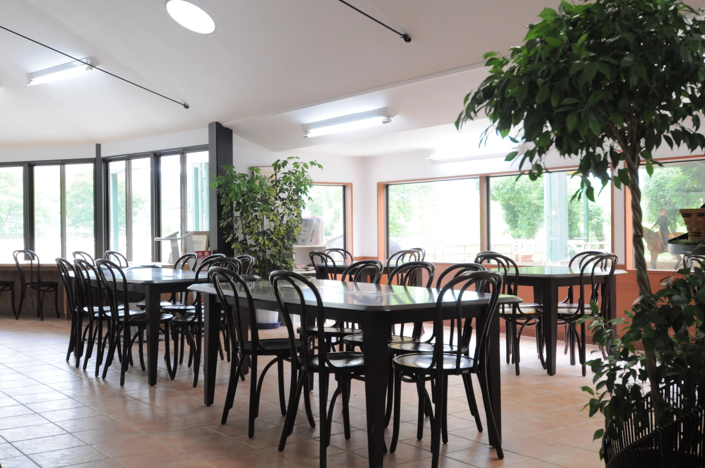 乗馬クラブCRANE(クレイン) 両備乗馬クラブ・クレイン岡山のサムネイル画像 5