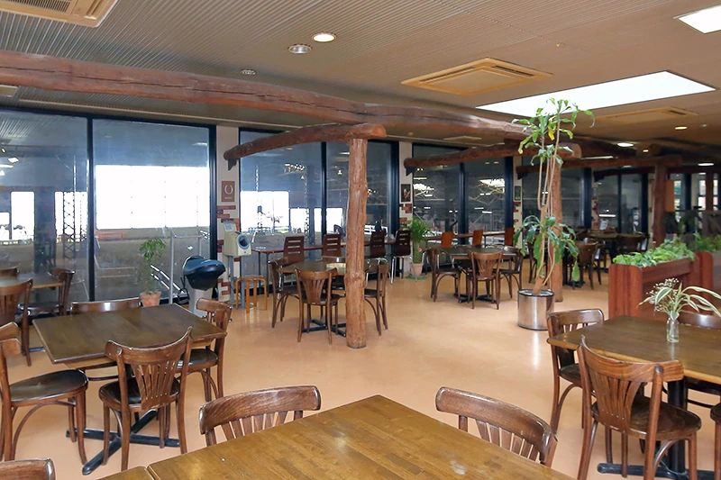 乗馬クラブCRANE(クレイン) 乗馬クラブ クレイン福岡のサムネイル画像 3