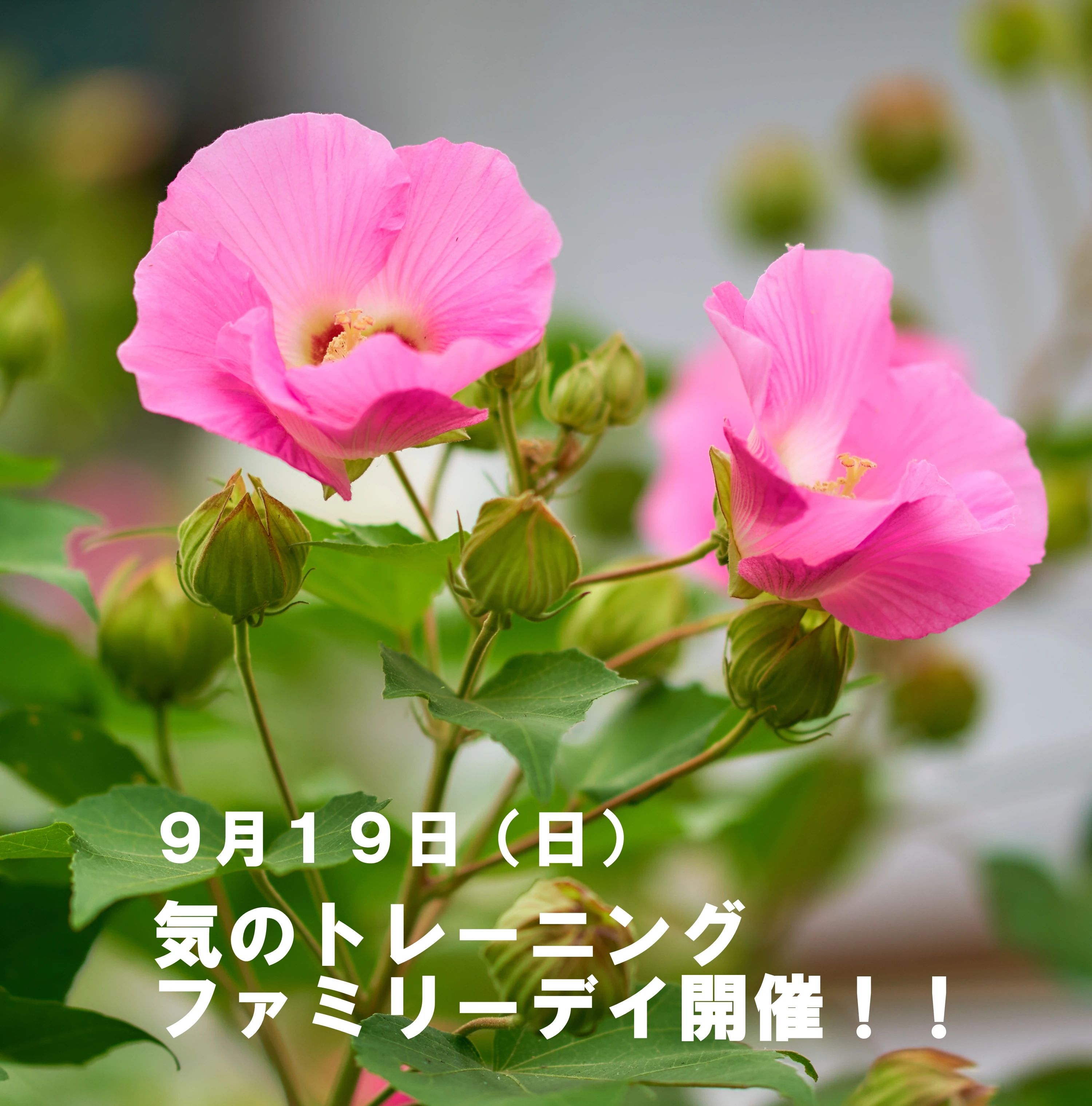 道家道学院 気功 福岡＜道＞学院のサムネイル画像 4