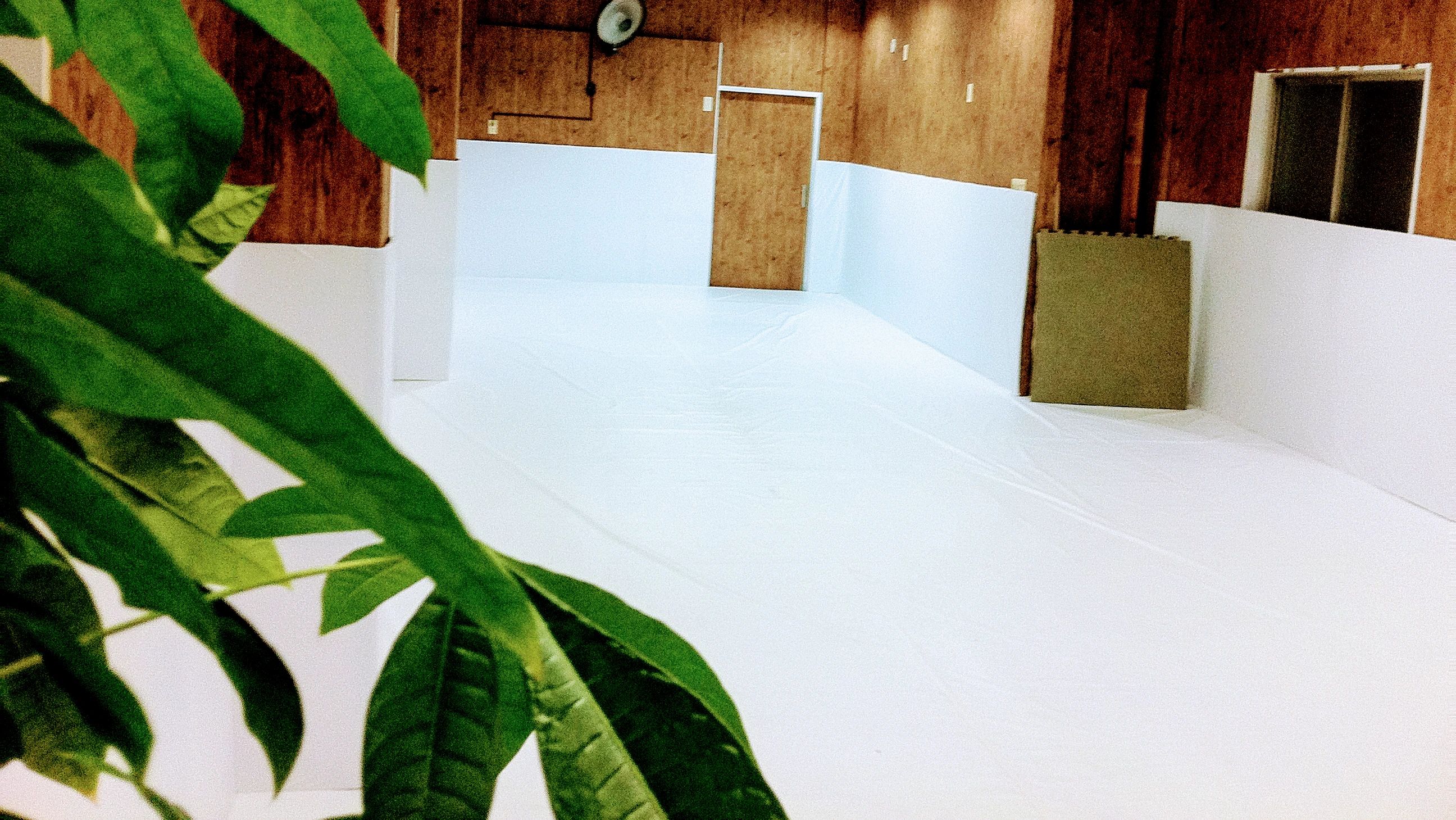 T-REX柔術アカデミー 馬出教室のメイン画像