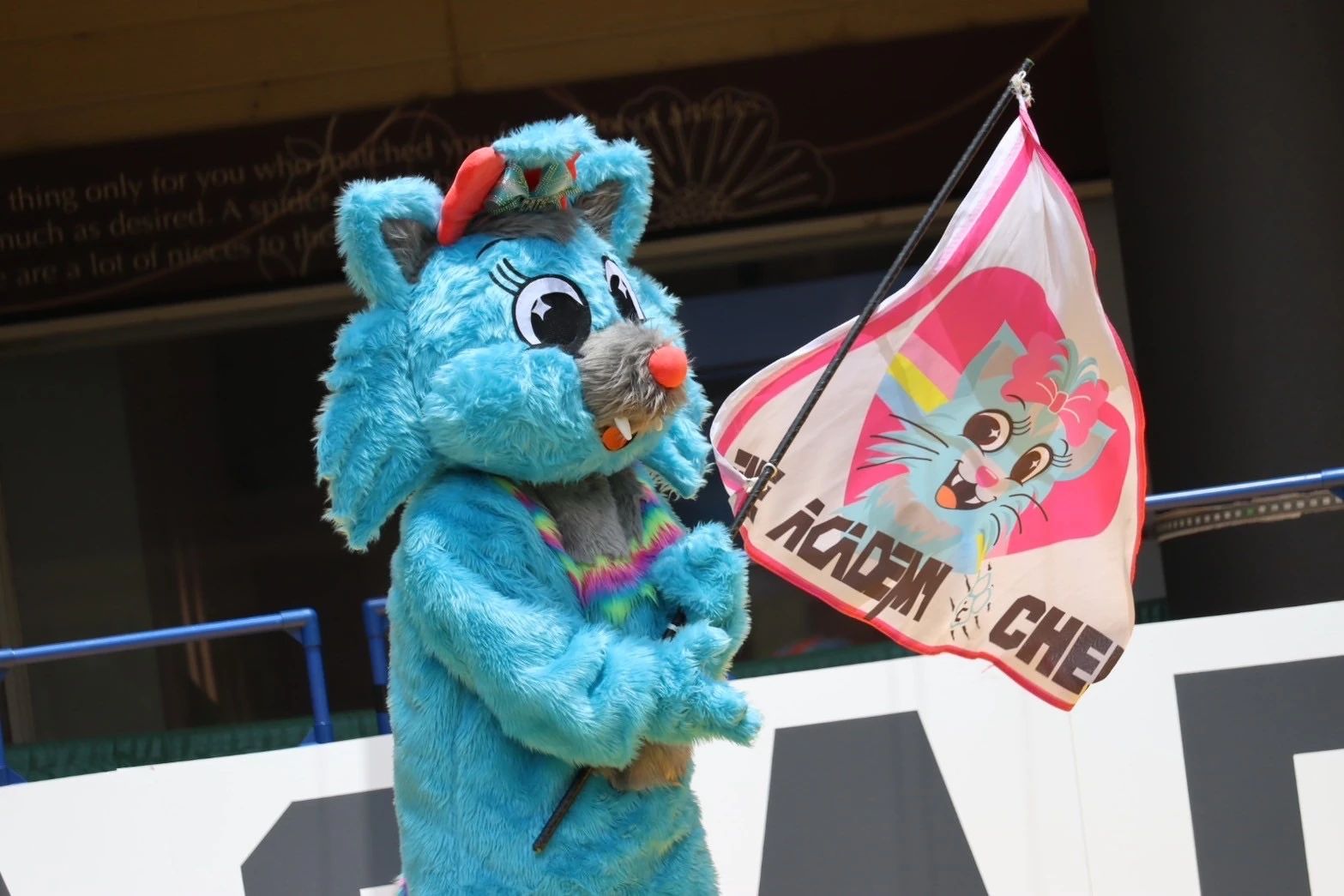 ONEACADEMY チアリーディング 大分県大在CATSのサムネイル画像 2