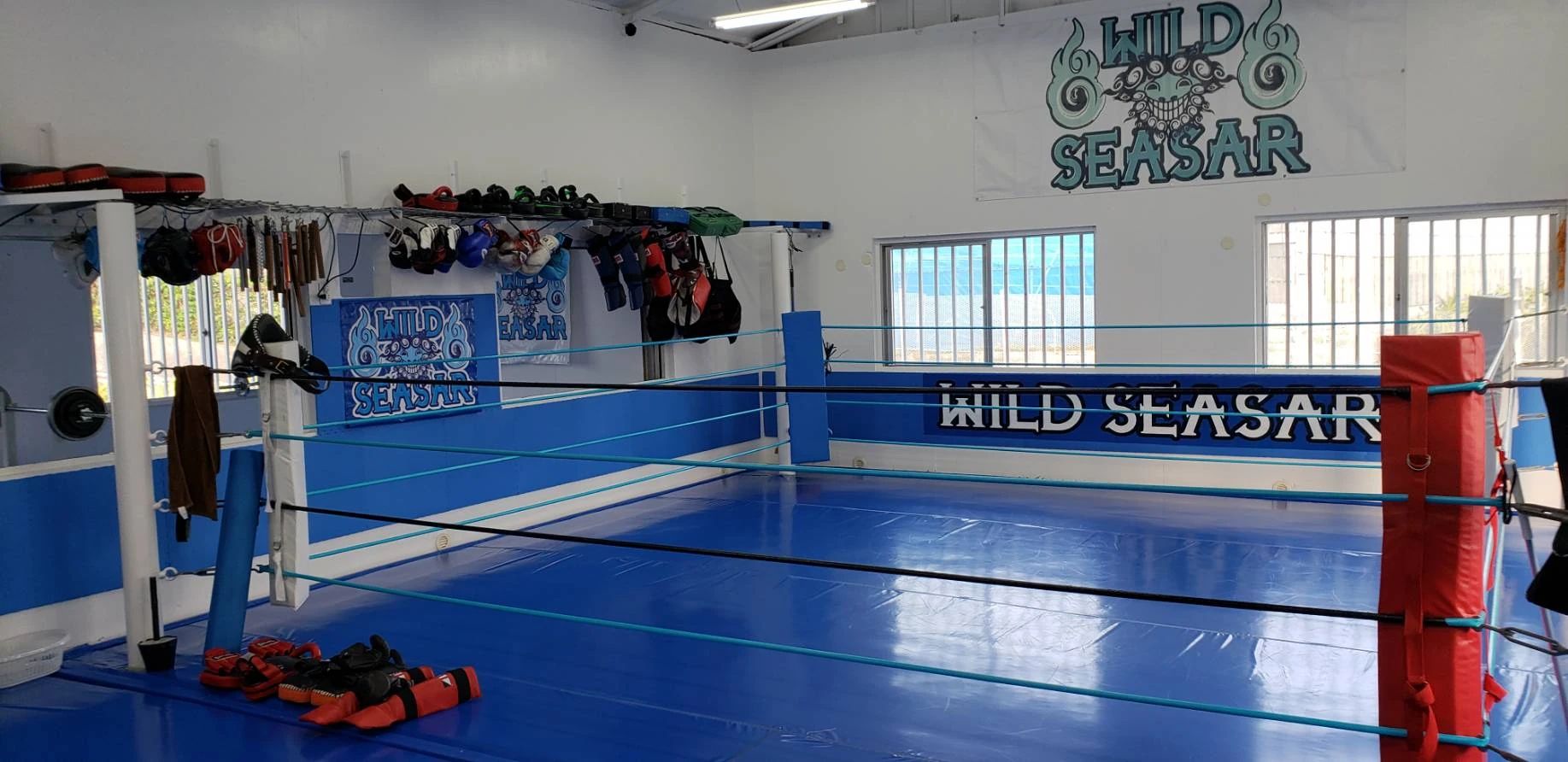 ワイルドシーサー キックボクシング ワイルドシーサー南風原のサムネイル画像 3